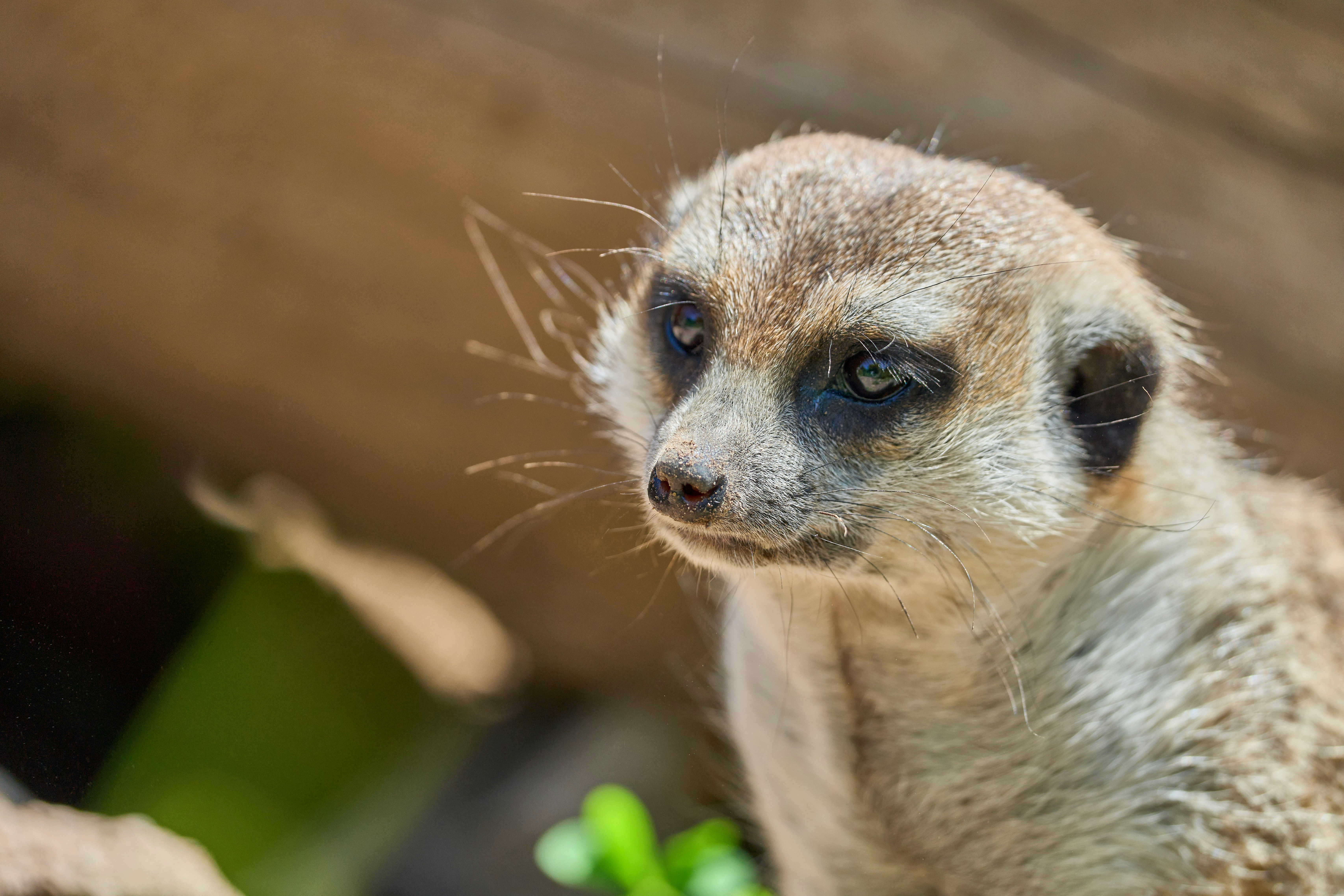 Photo by wolfgang_hasselmann