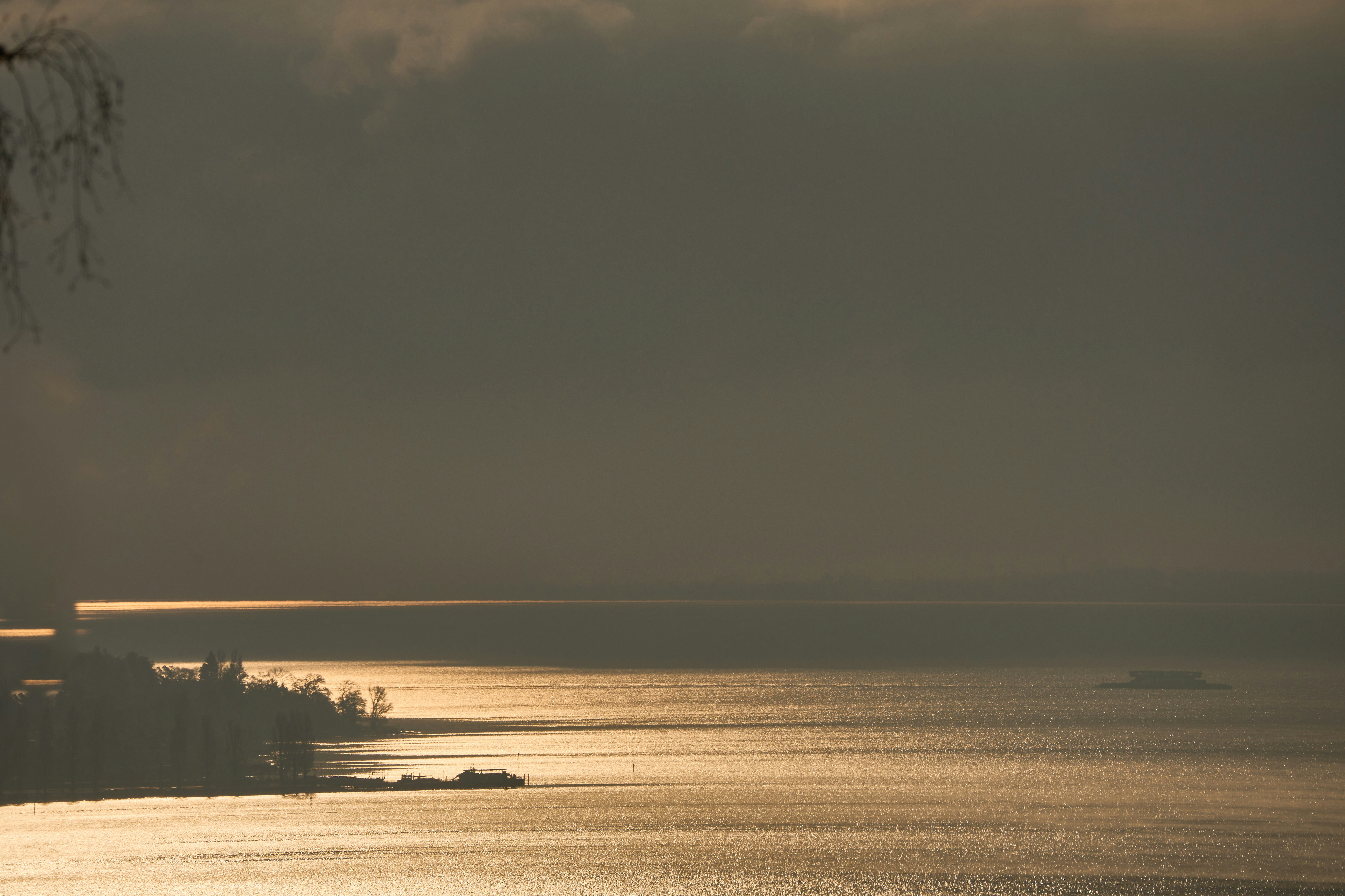 Photo by wolfgang_hasselmann