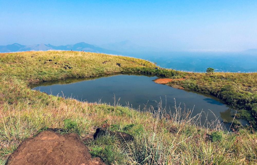 a small pond in the middle of a grassy hill