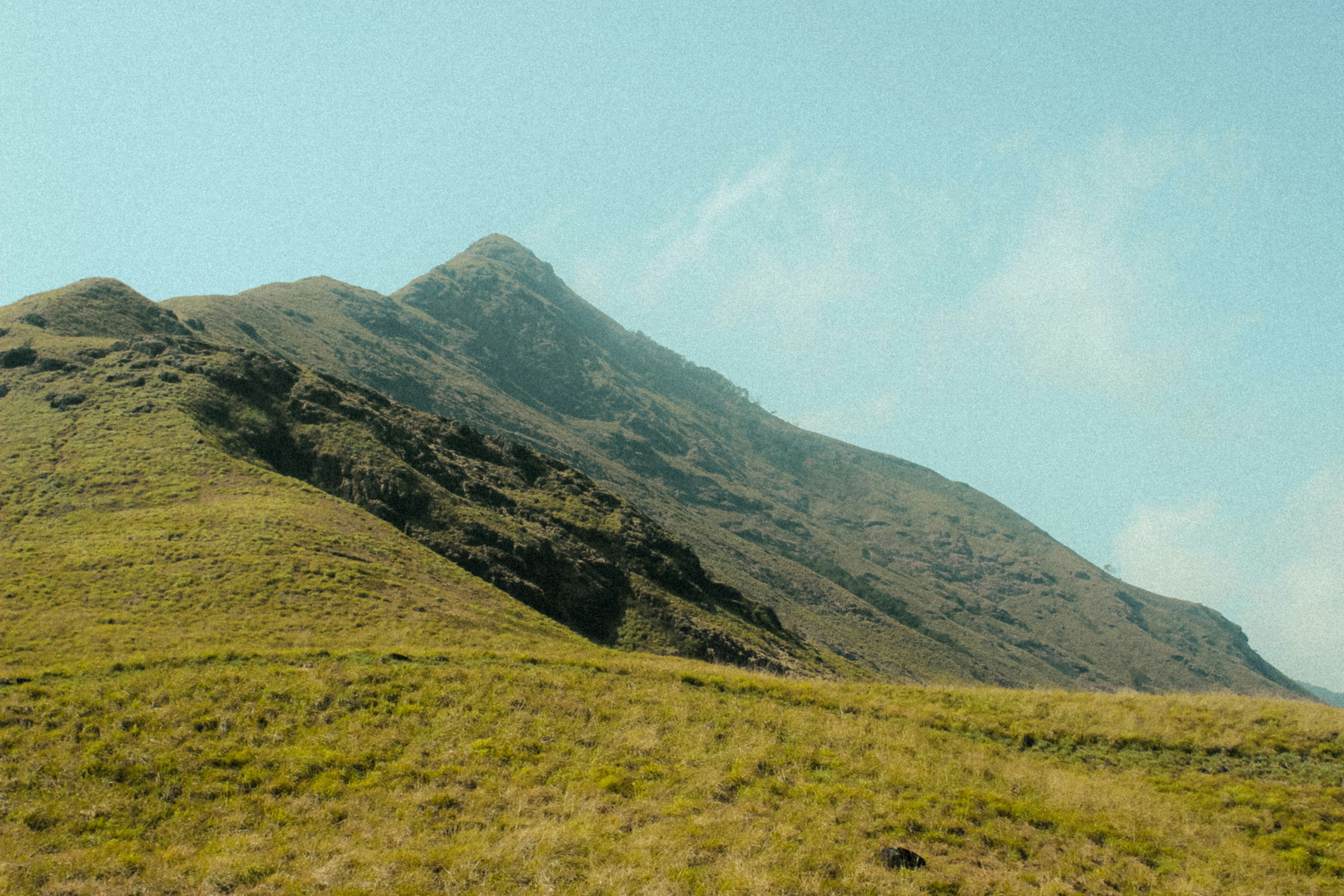 Photo by davissherine