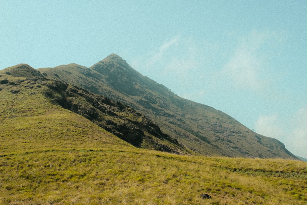 a grassy field with a mountain in the background