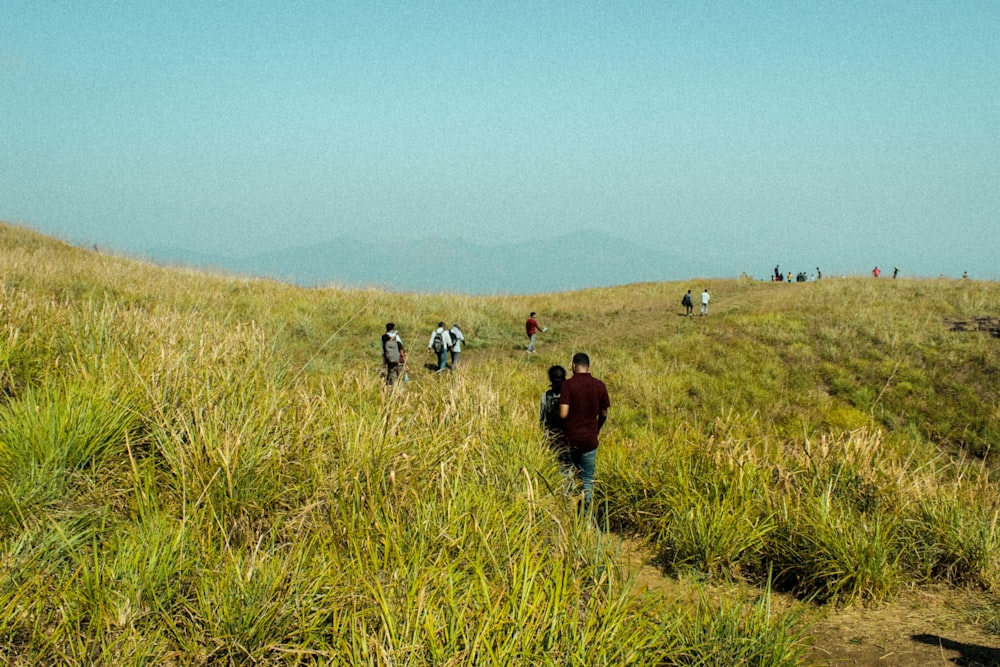 a group of people walking up a grassy hill