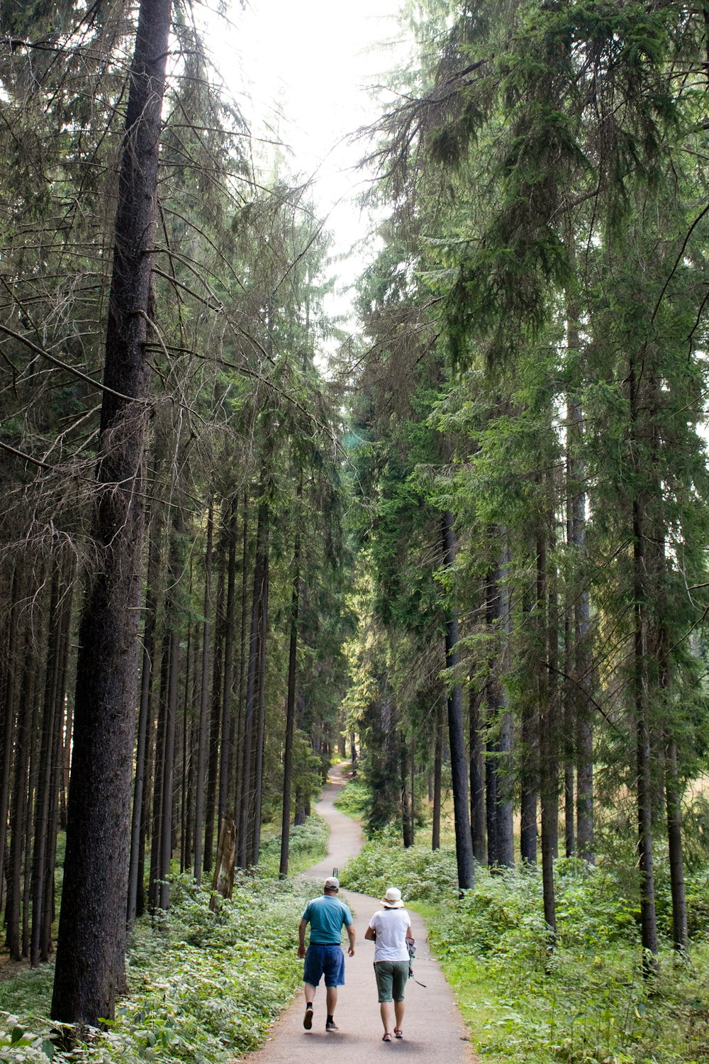 two people walking down a path in the woods