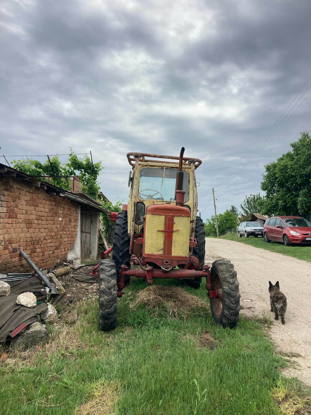 a cat standing next to a tractor on a dirt road
