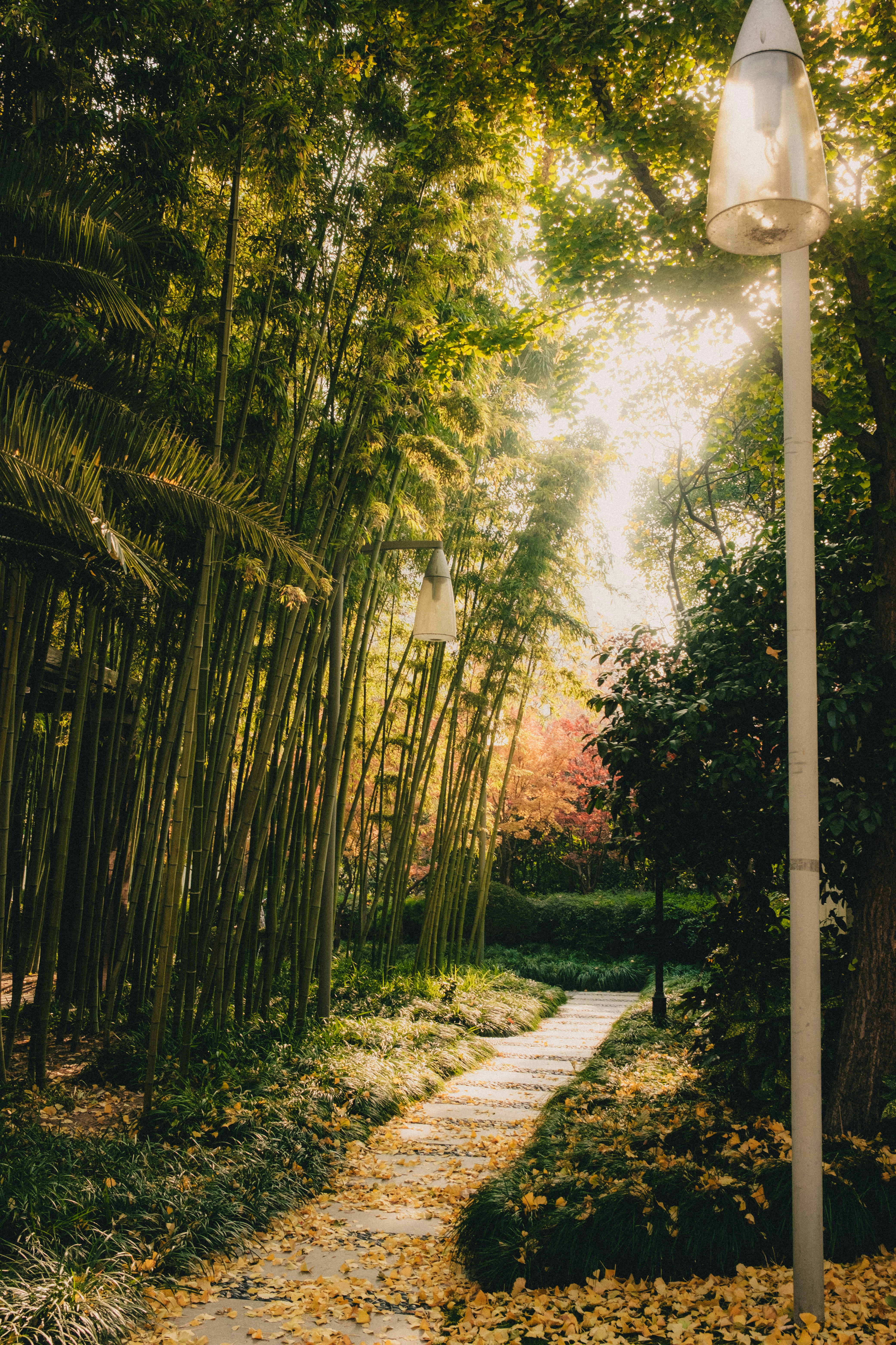 Photo by xingchenyan