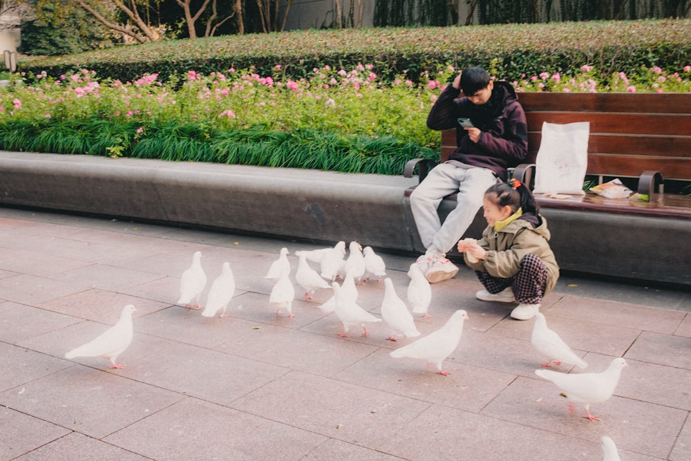 a man sitting on a bench feeding a flock of pigeons