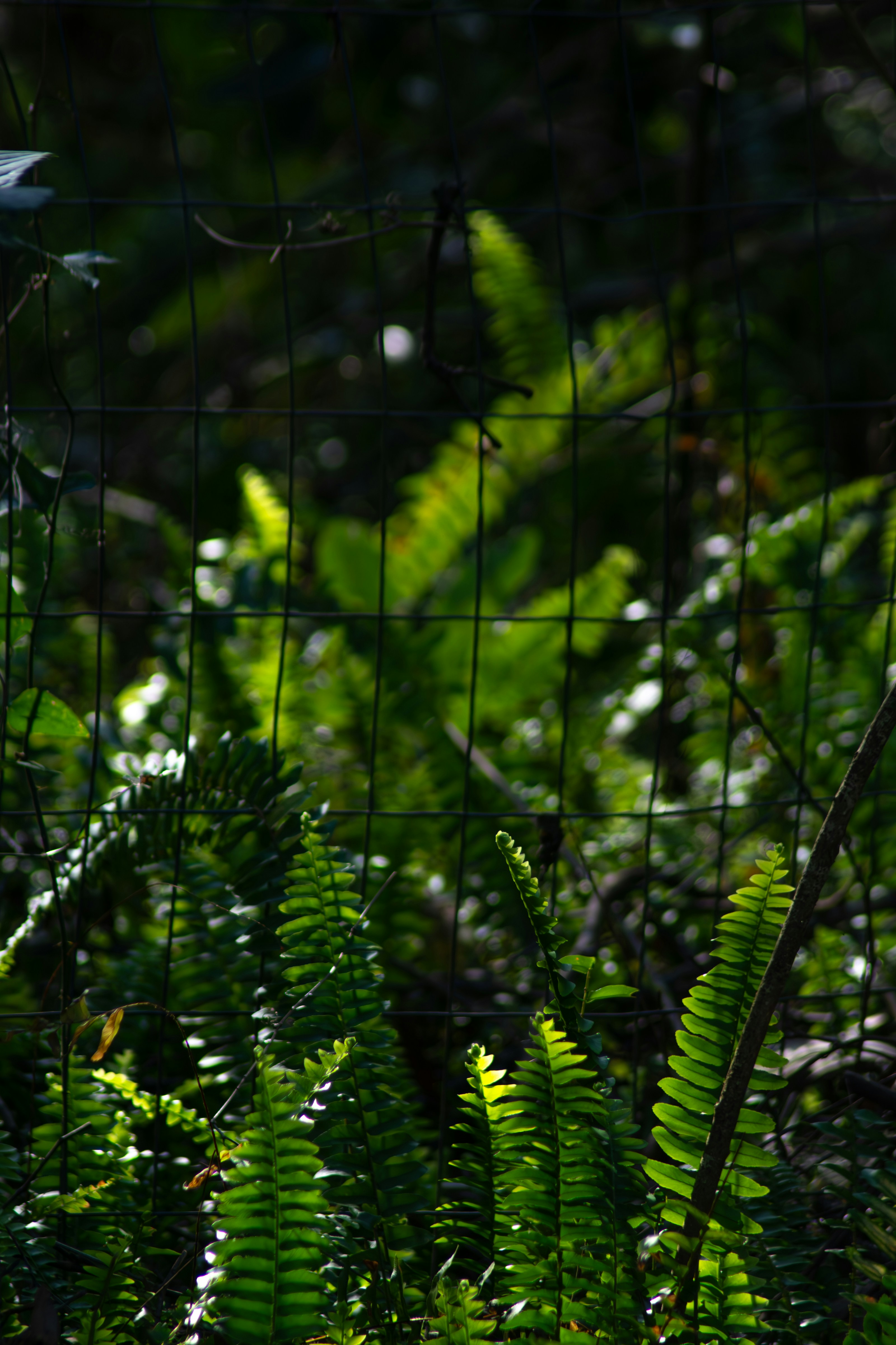 Photo by astro_civil