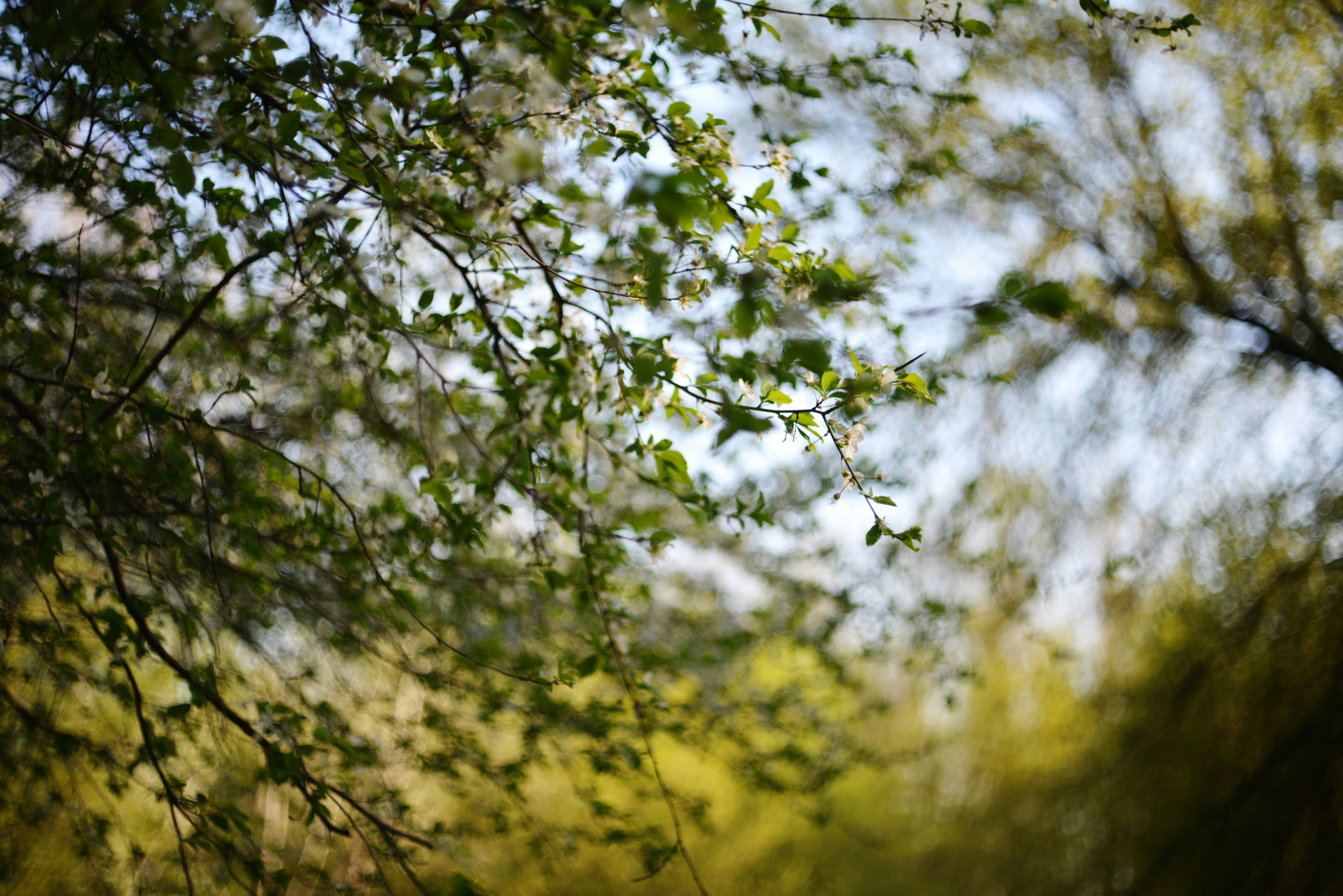 Photo by cherstve_pechivo