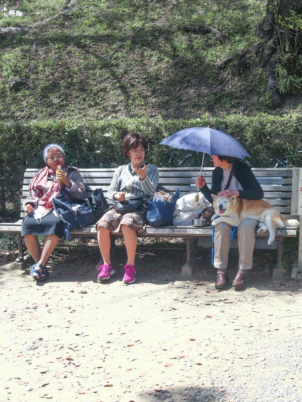 three people sitting on a bench with a dog under an umbrella