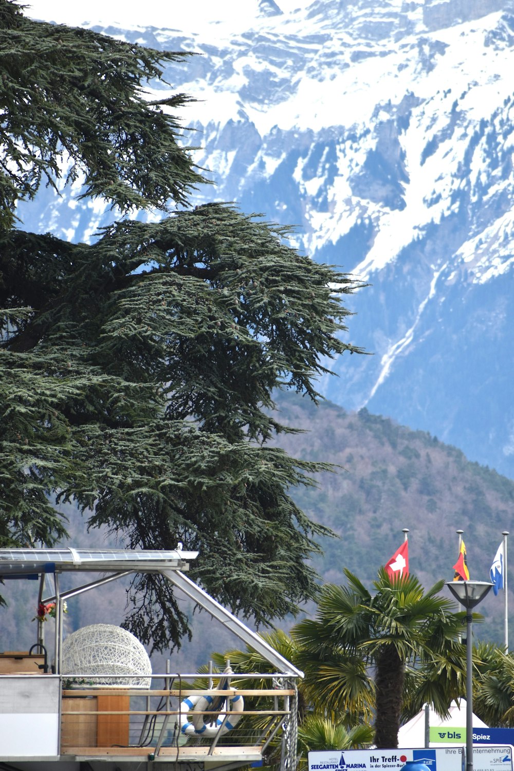 a view of a snow covered mountain from a park