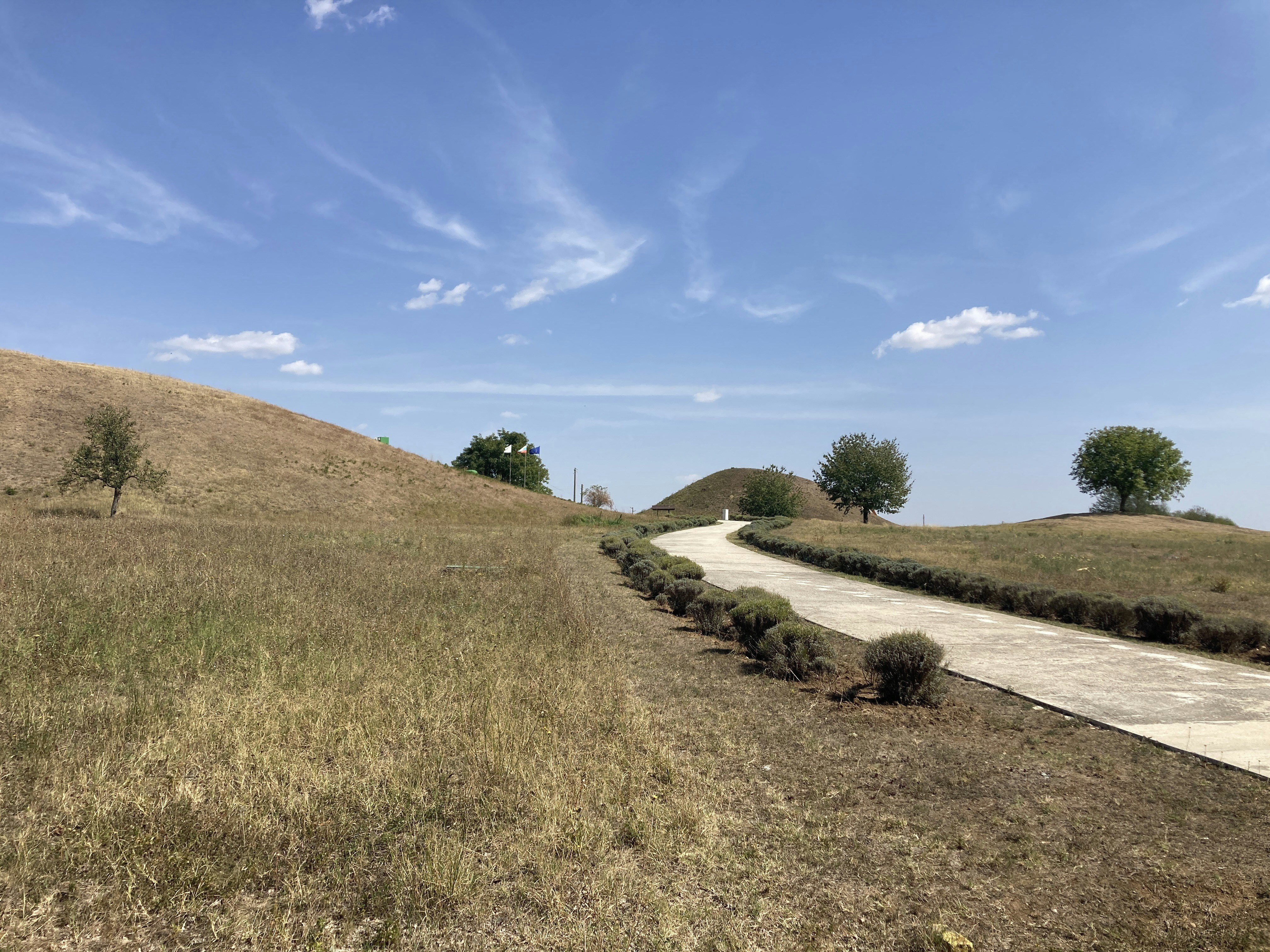a dirt road going through a grassy field