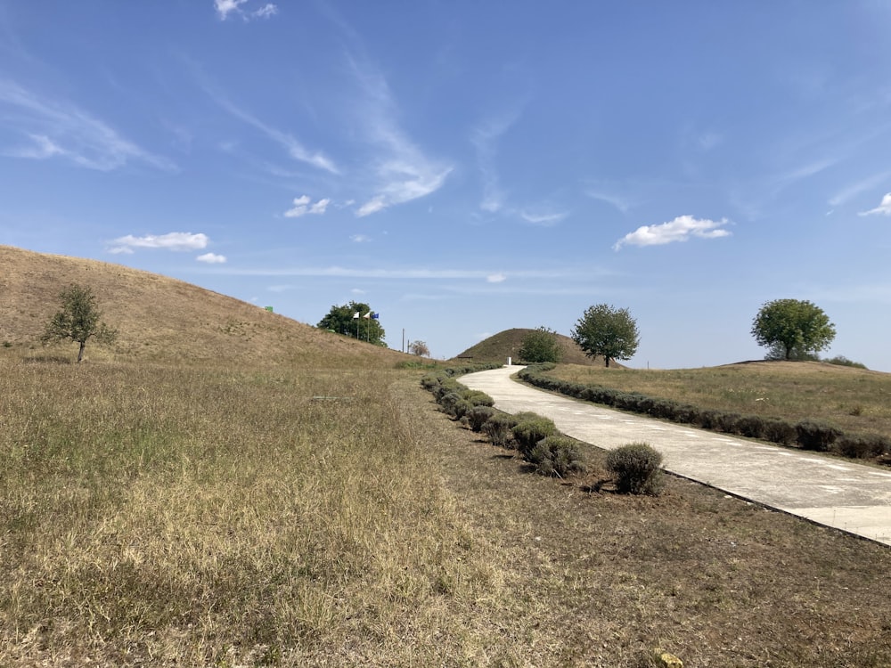 a dirt road going through a grassy field