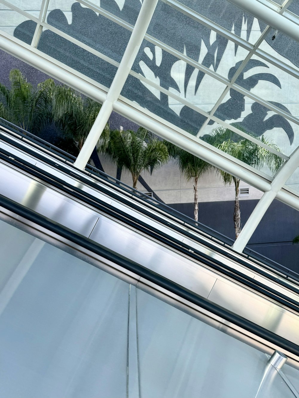 an escalator with palm trees in the background