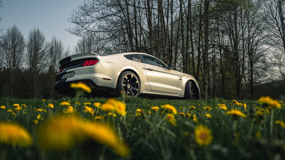 a white sports car parked in a field of yellow flowers