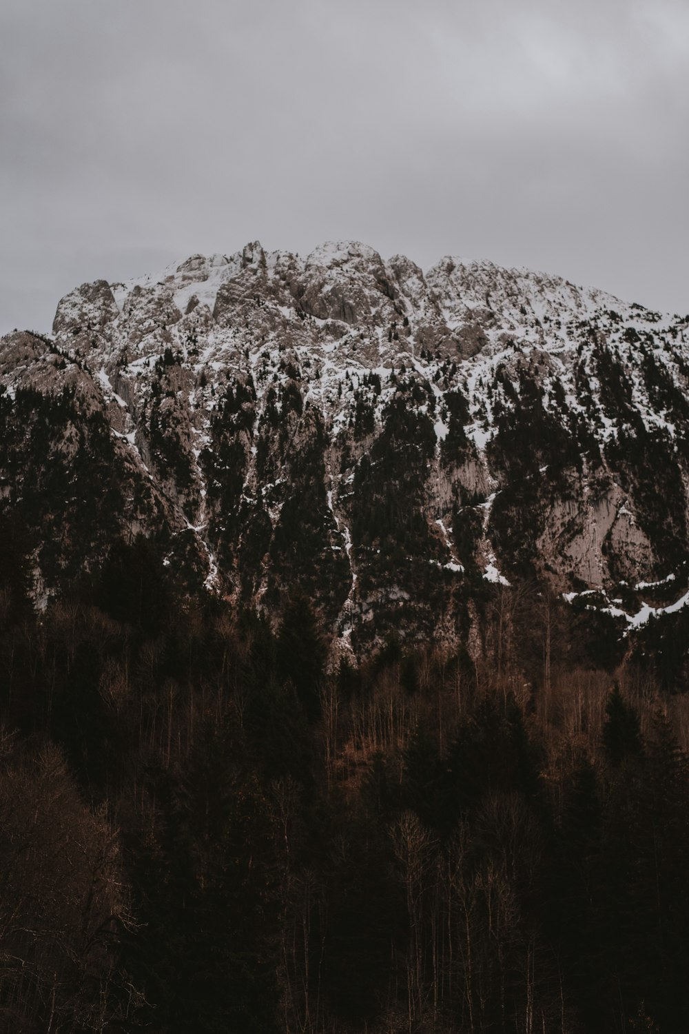 a mountain covered in snow next to a forest