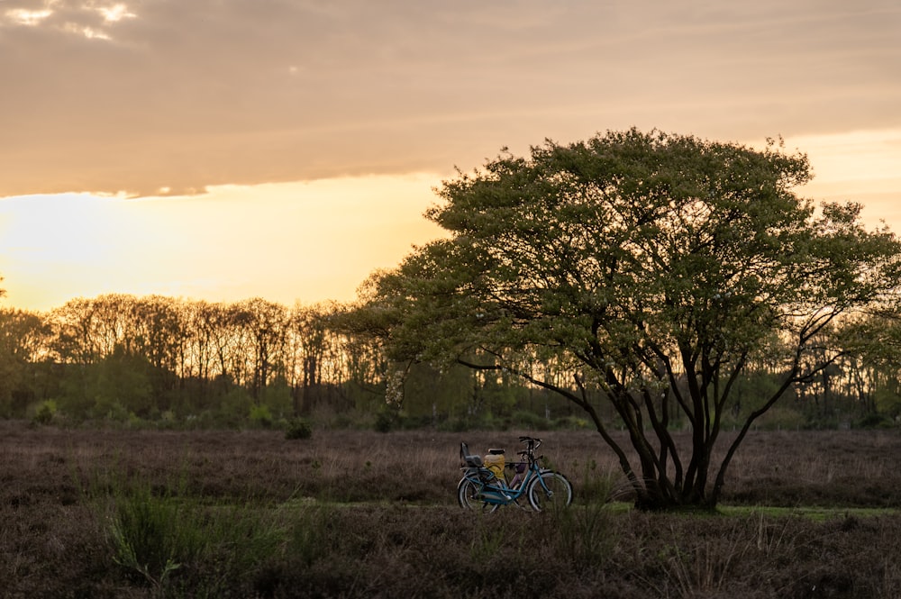 a bike parked next to a tree in a field