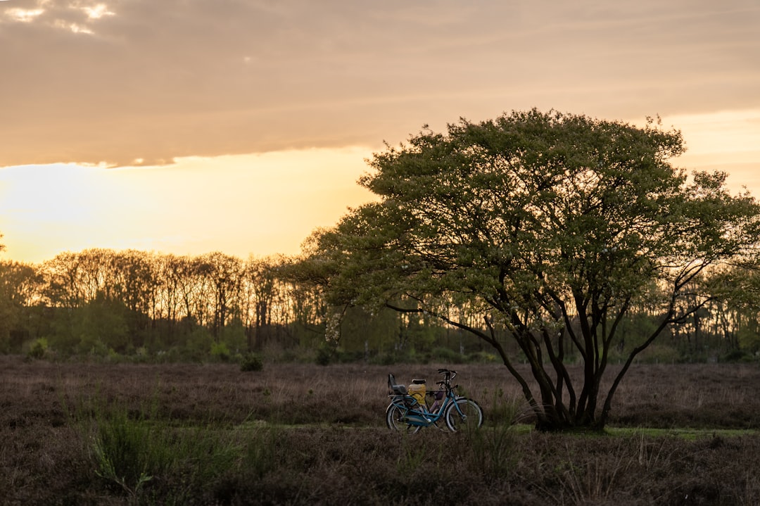 Afbeelding van Hilversum