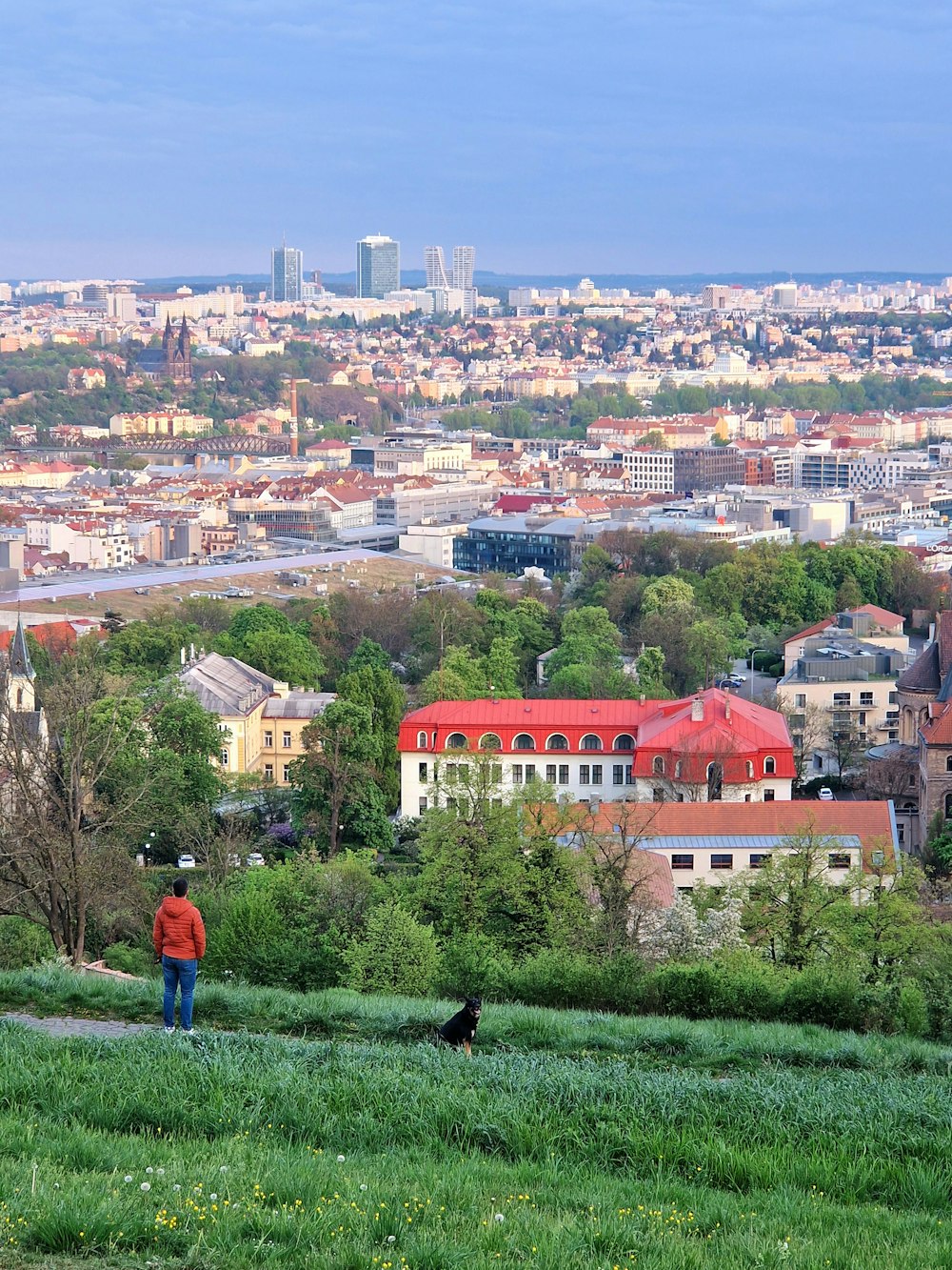 a person standing on a hill overlooking a city