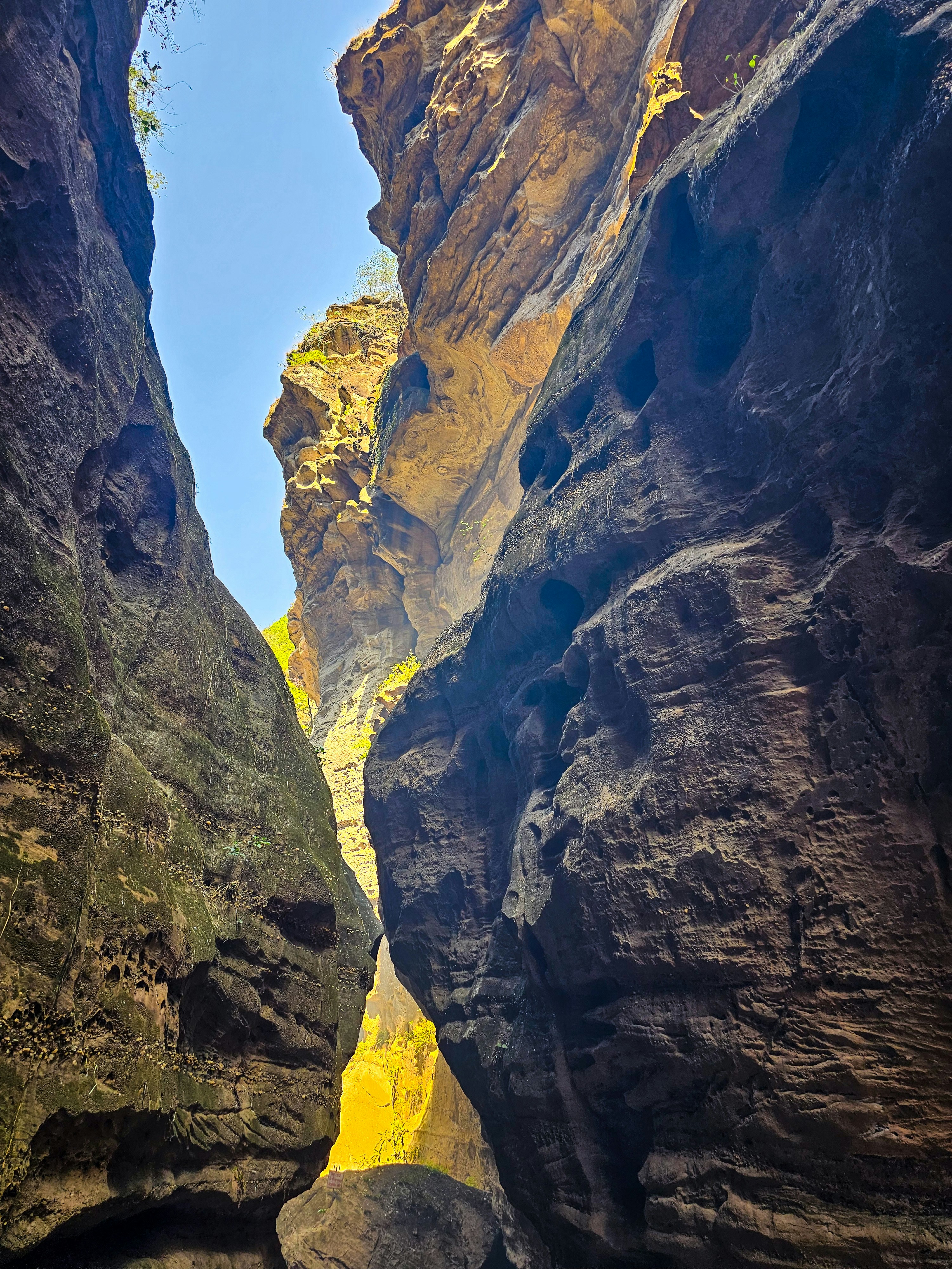 Photo by rishabhnimje