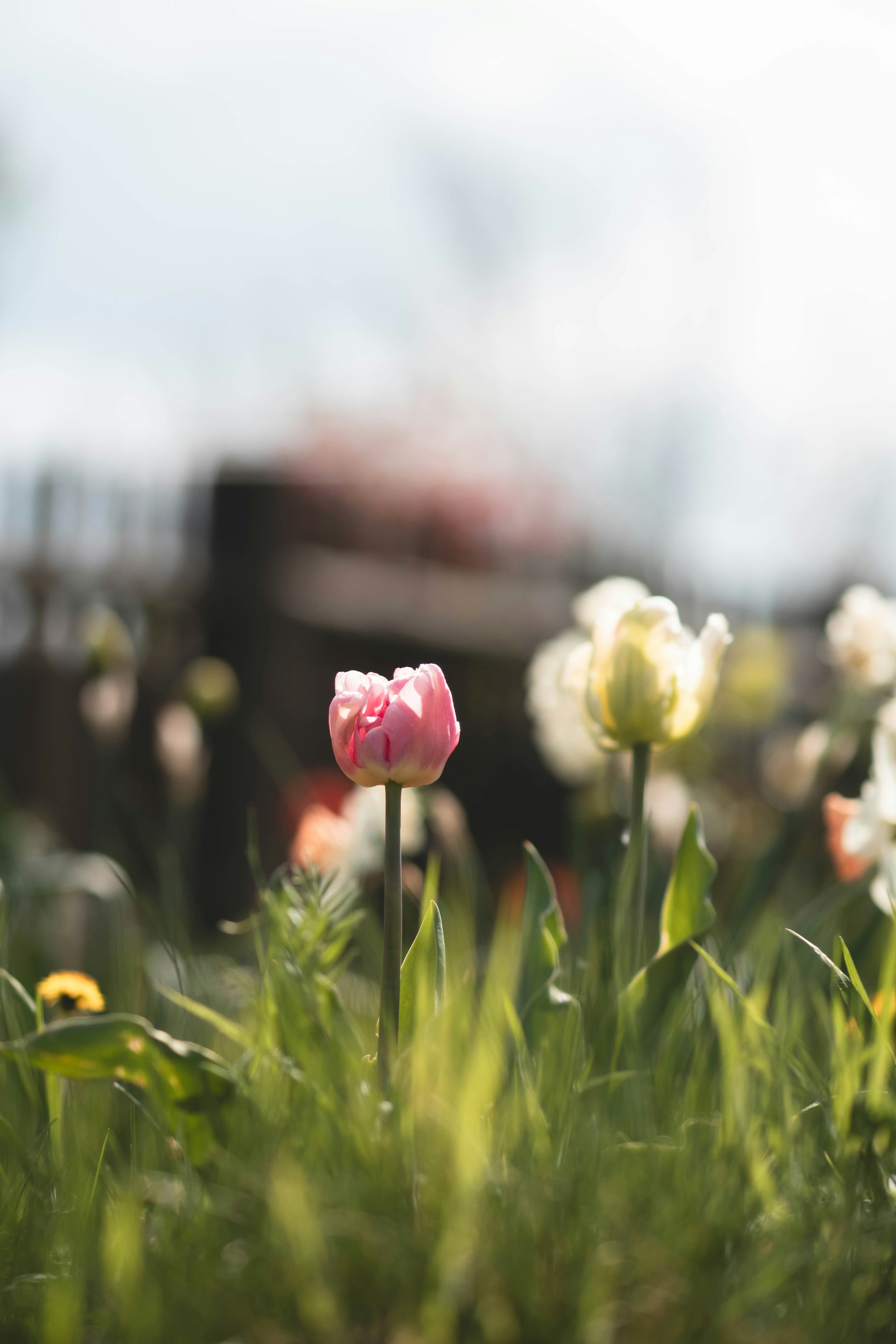 Photo by eileen_kummer