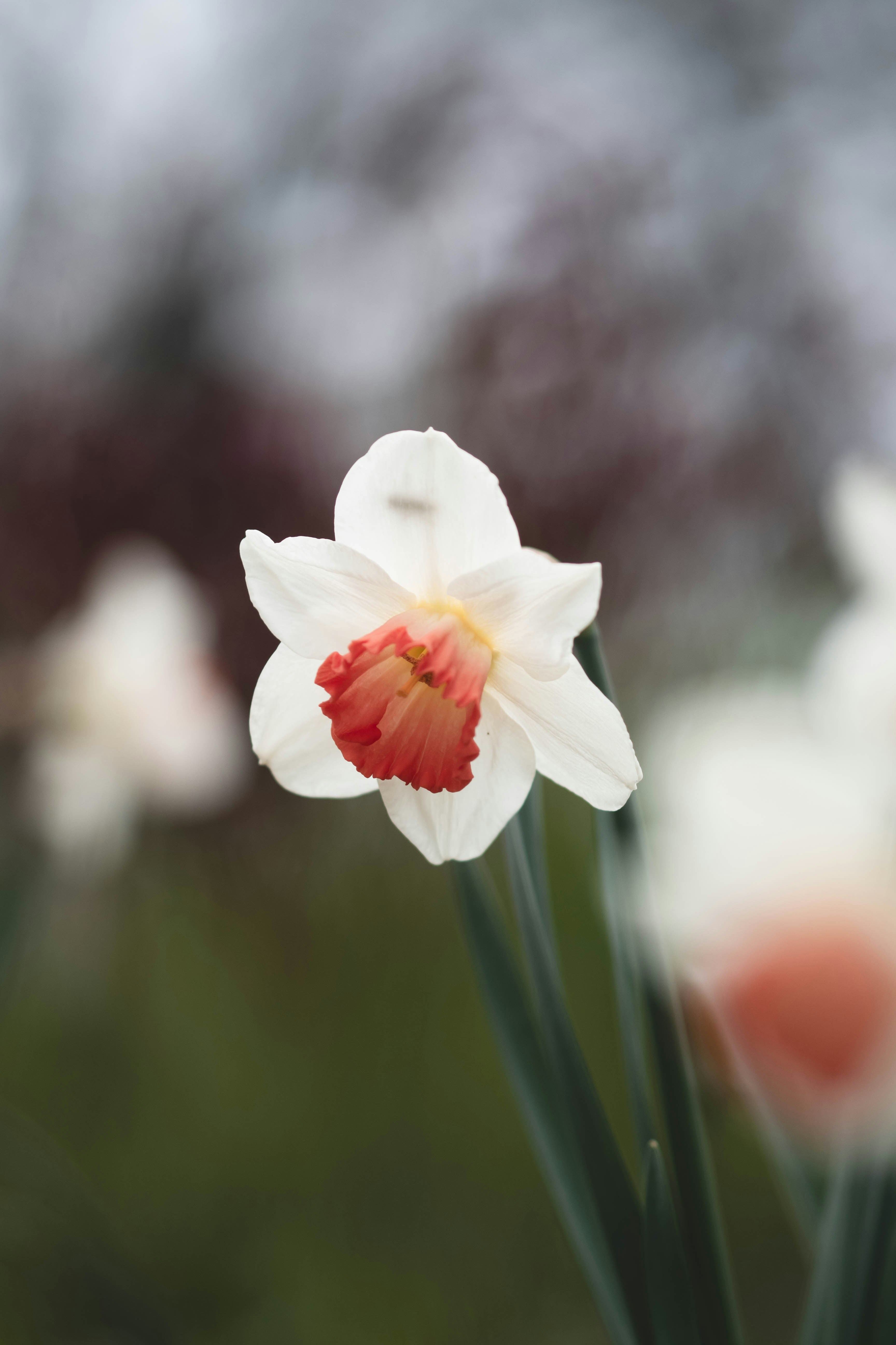 Photo by eileen_kummer