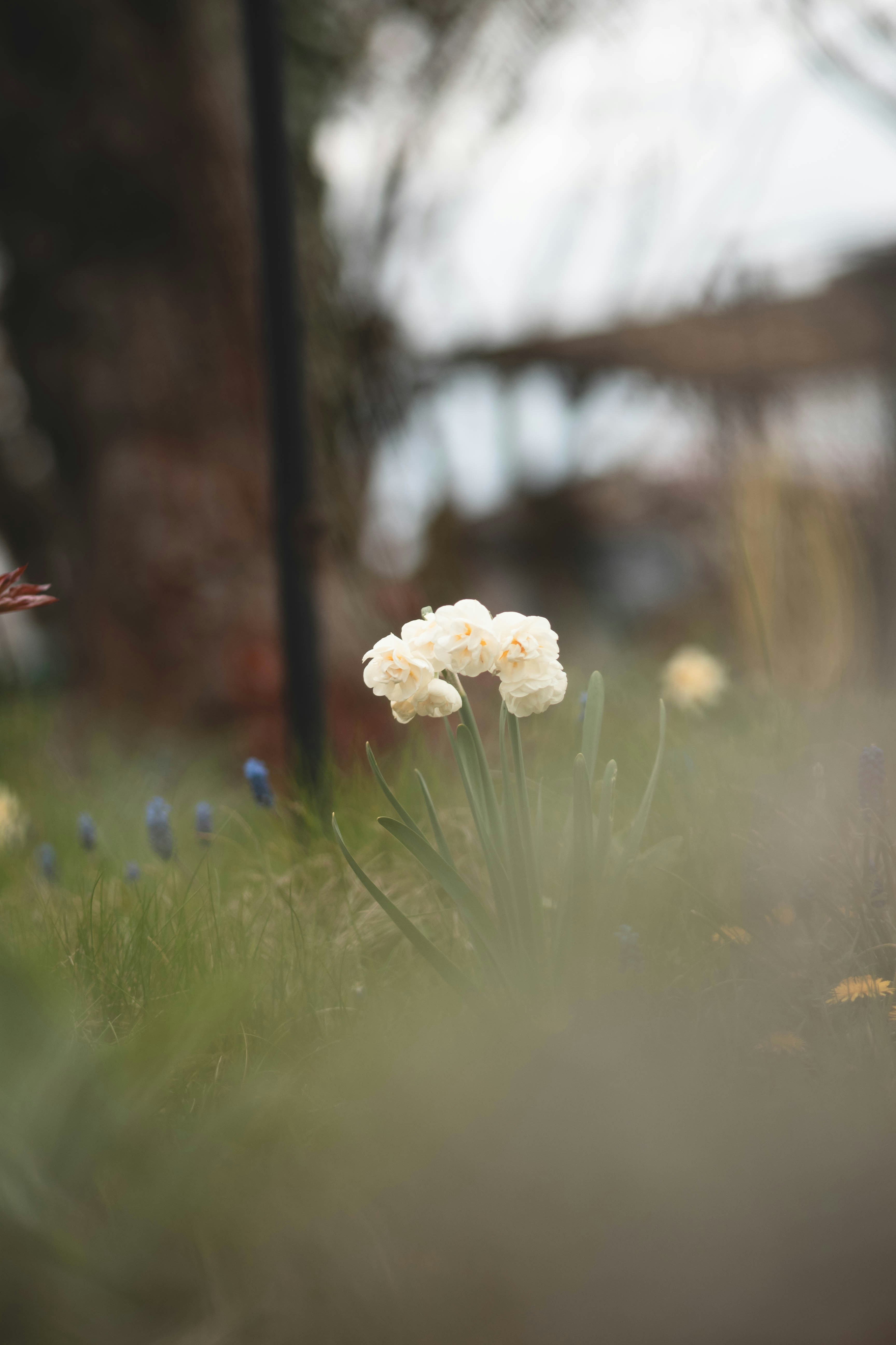 Photo by eileen_kummer