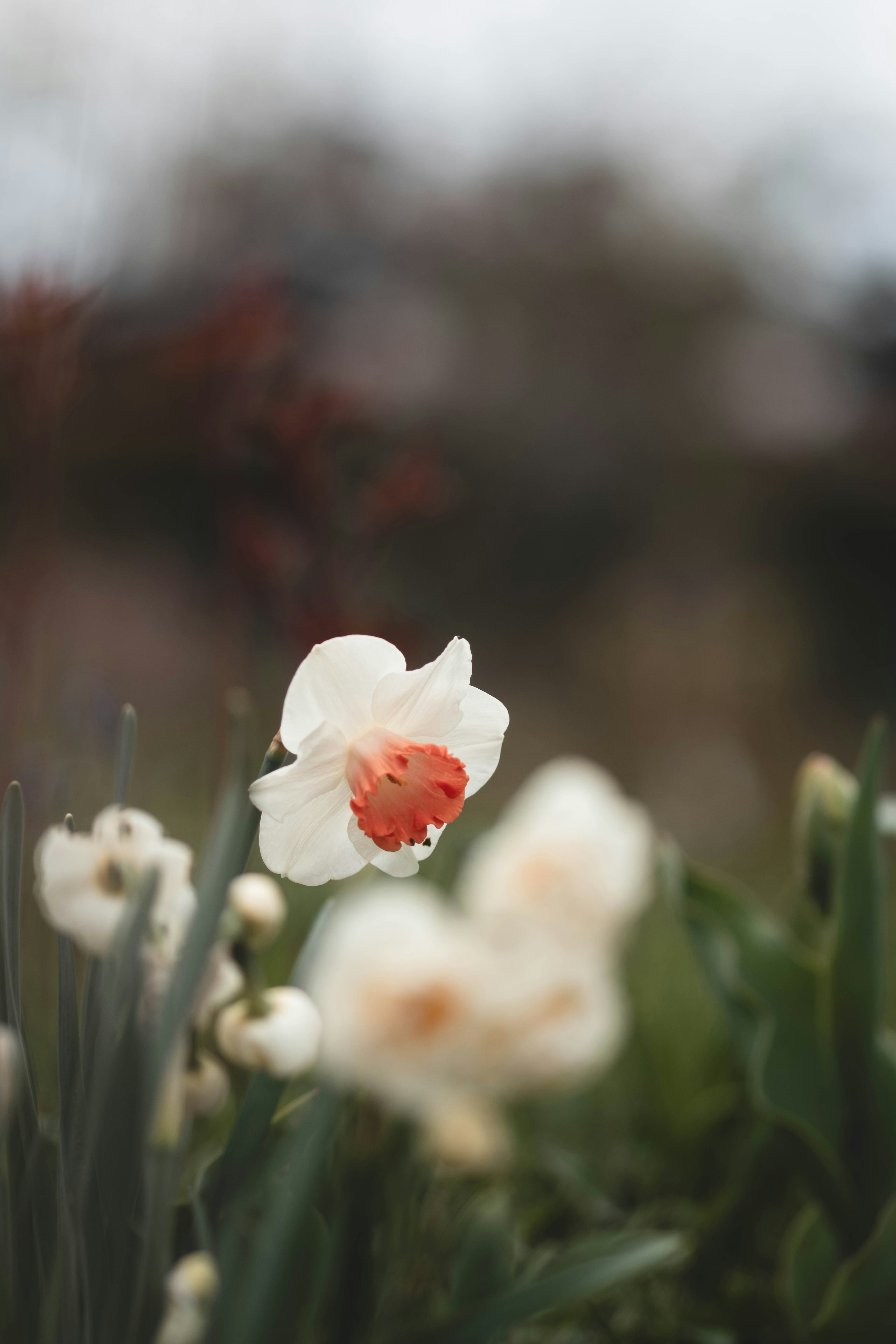 Photo by eileen_kummer