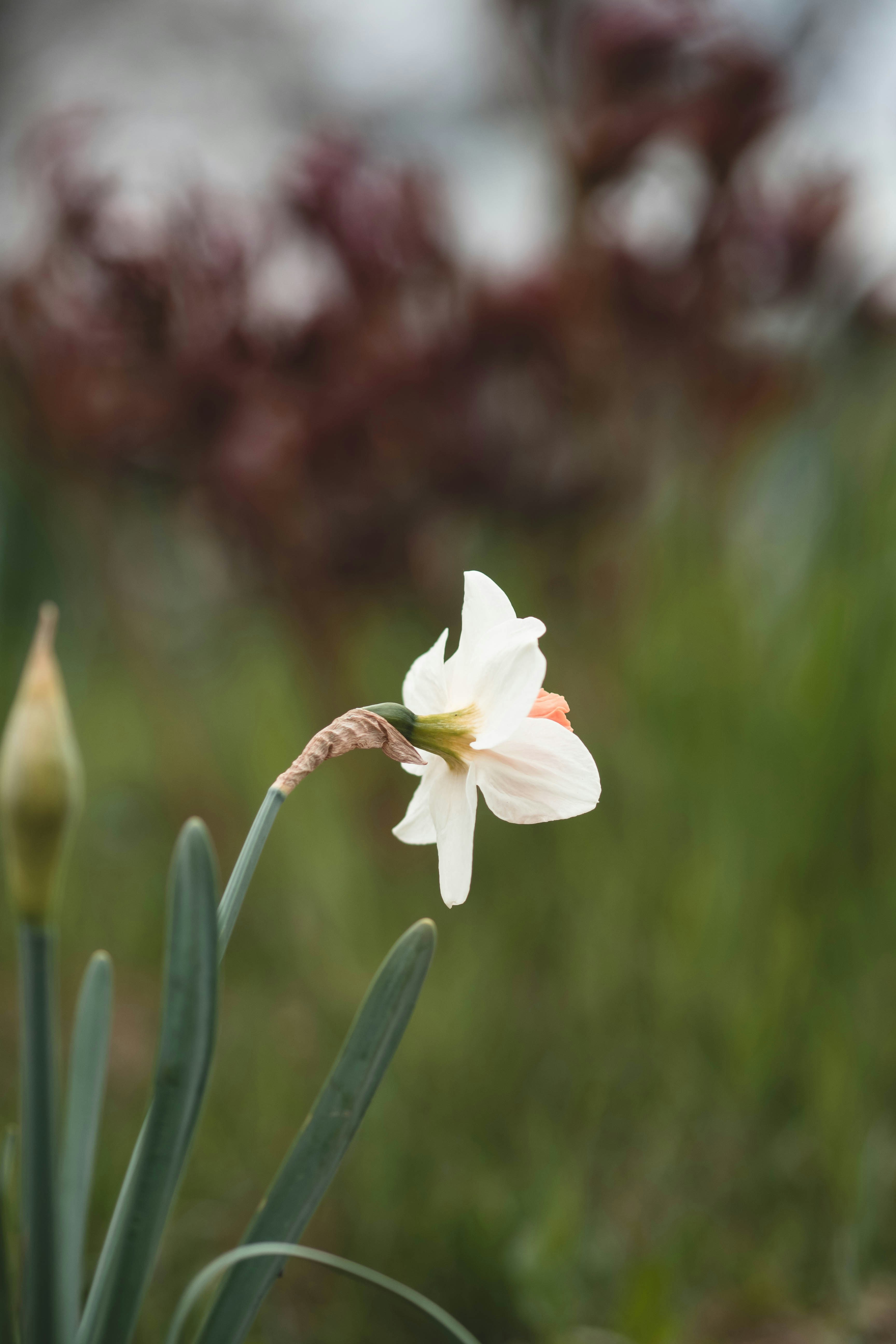 Photo by eileen_kummer