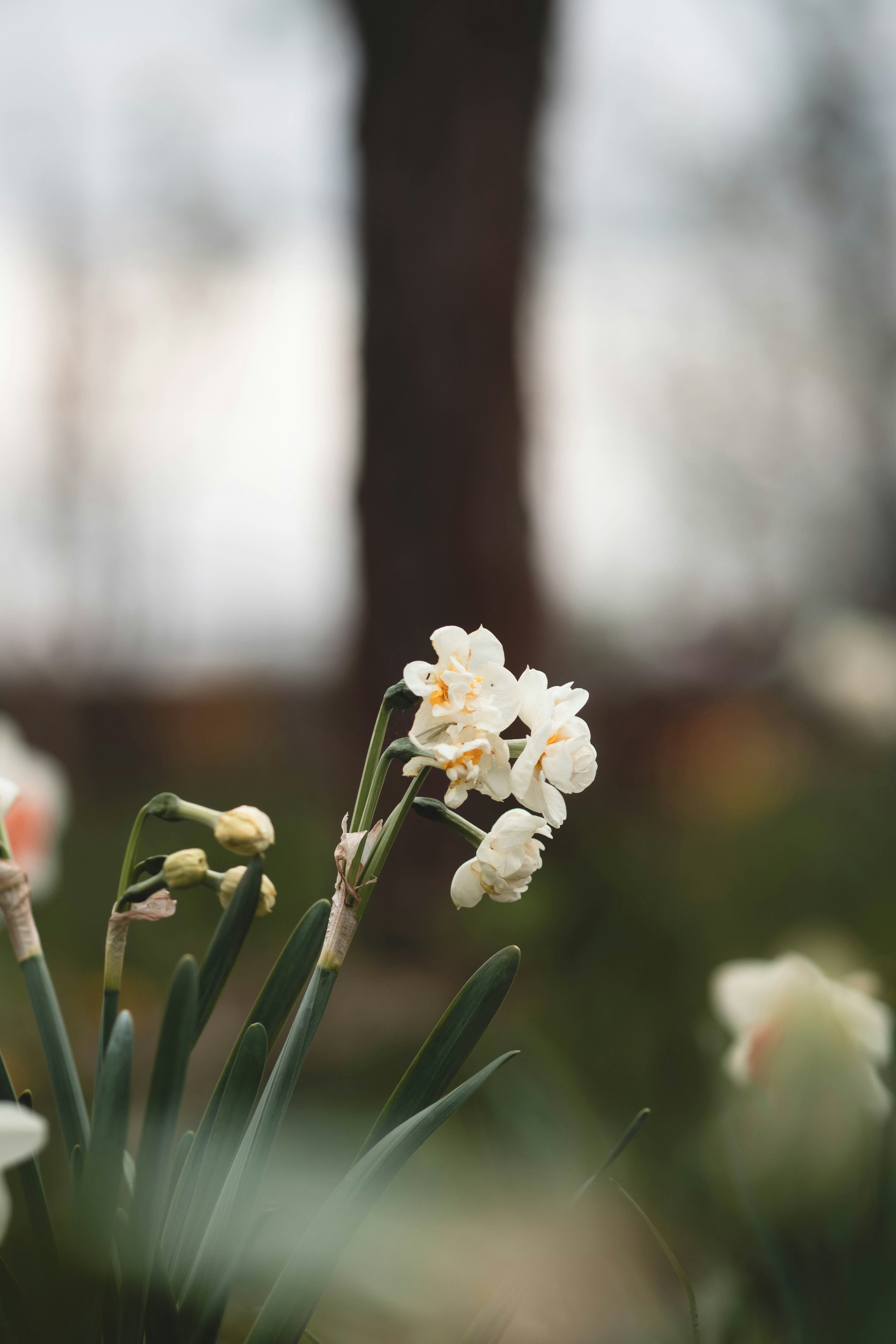 Photo by eileen_kummer