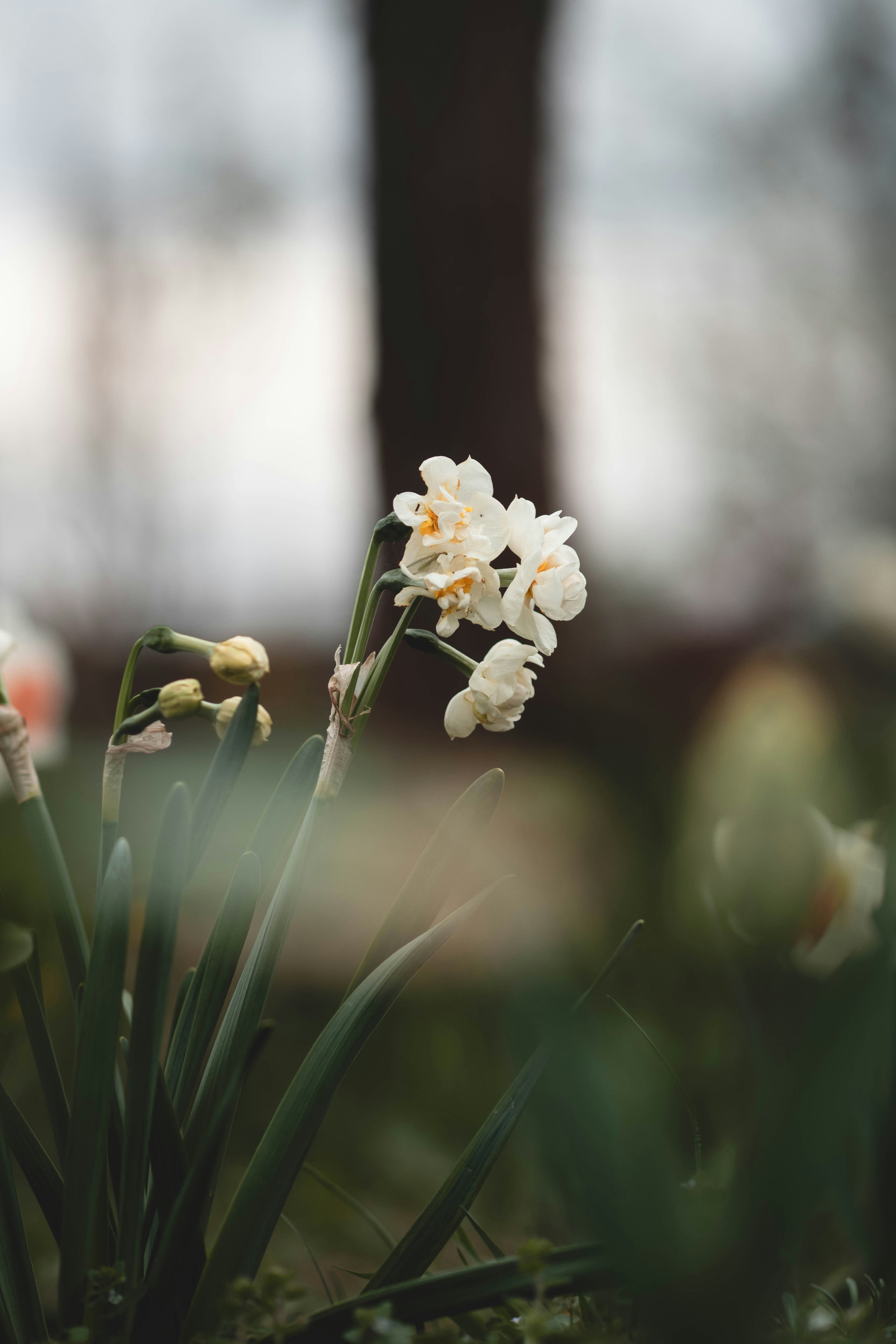 Photo by eileen_kummer