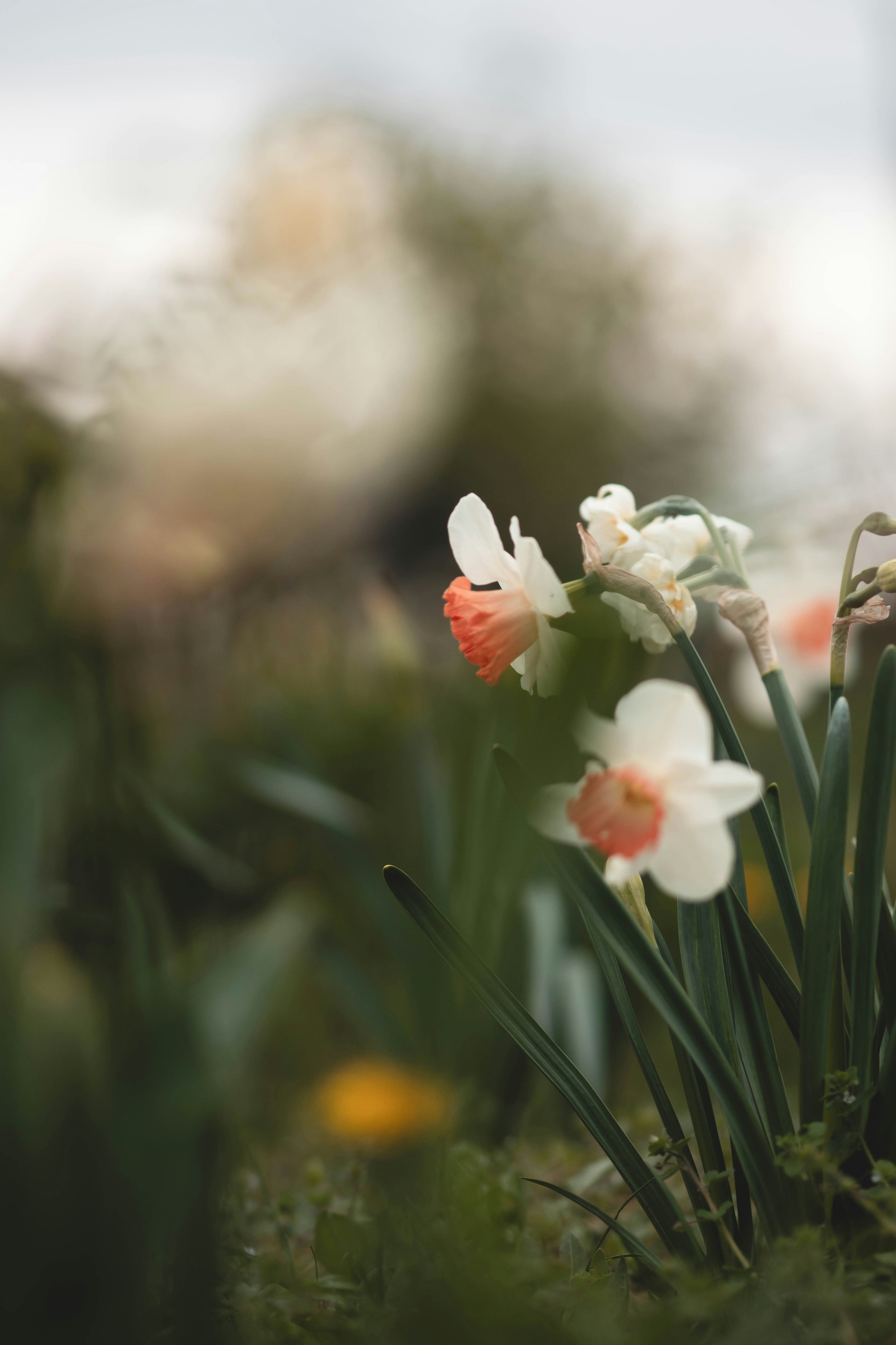 Photo by eileen_kummer