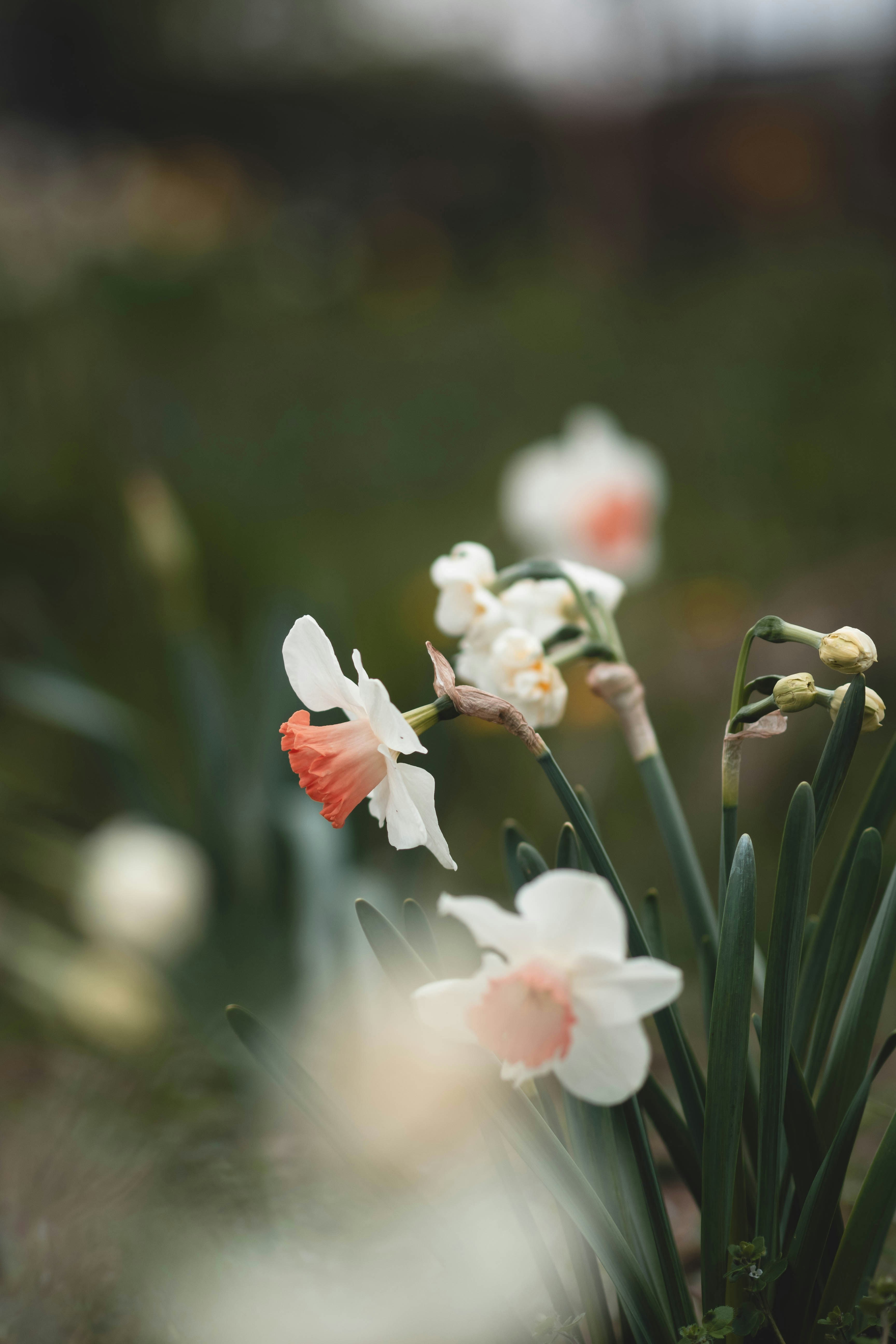 Photo by eileen_kummer