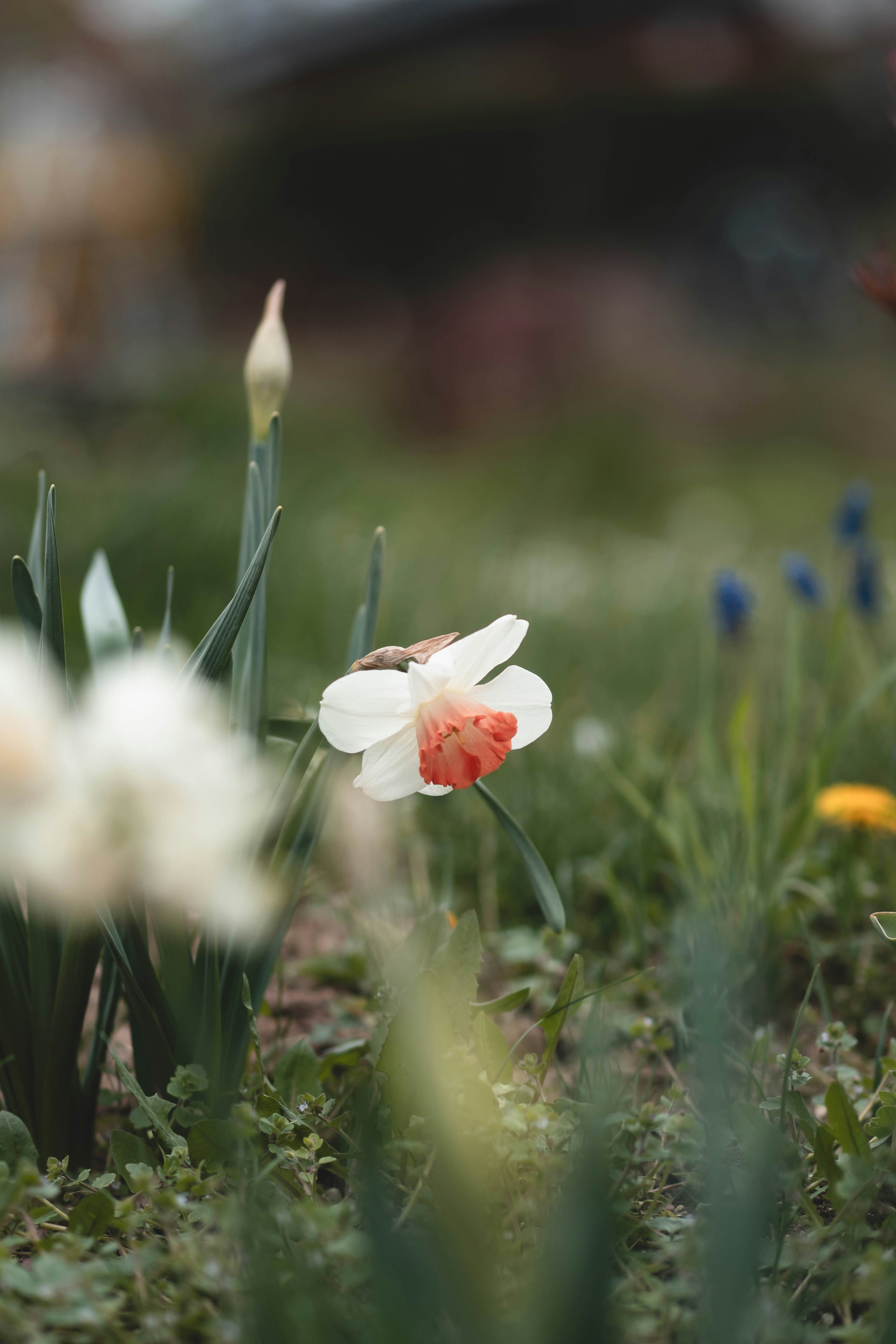 Photo by eileen_kummer