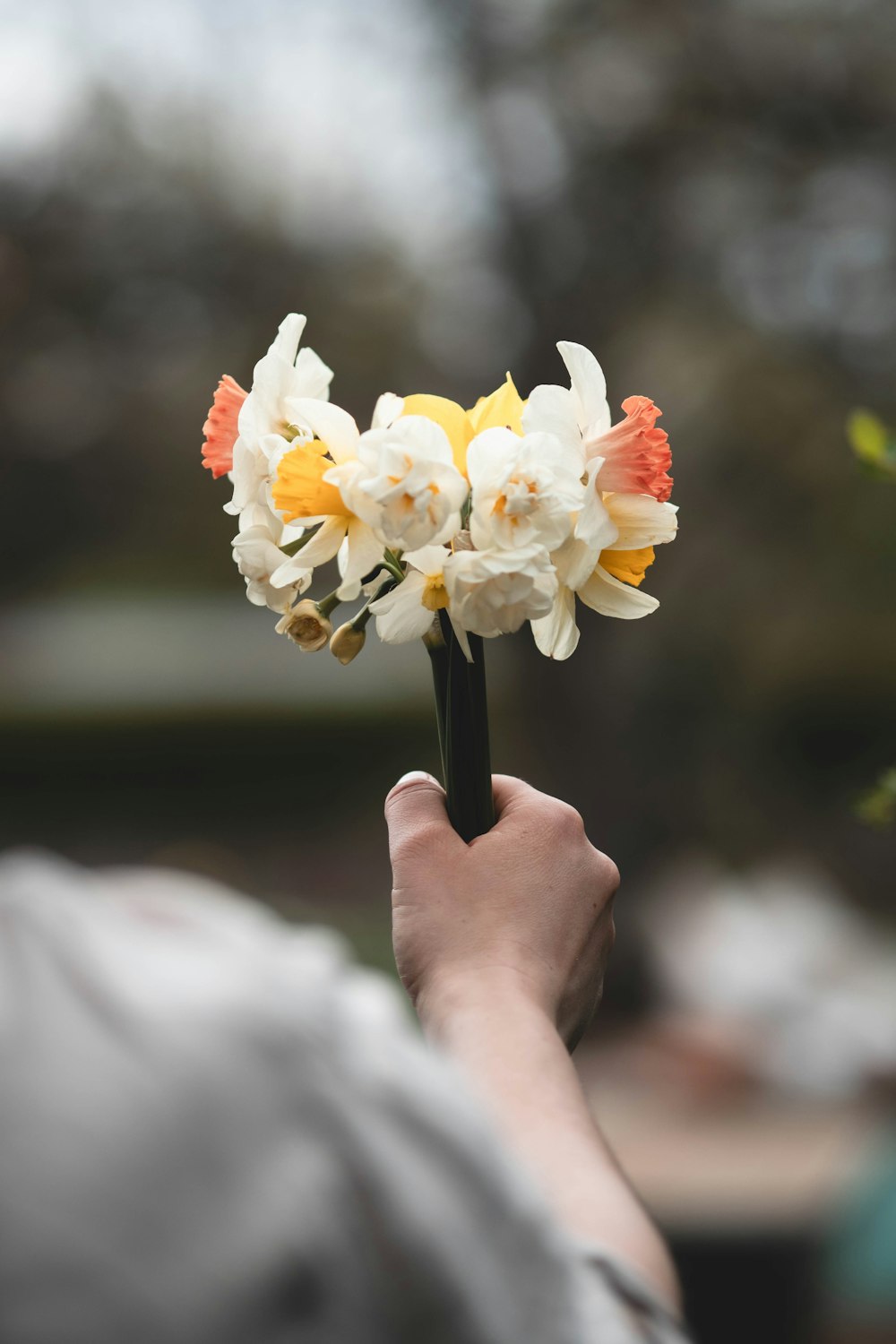 a person holding a bunch of flowers in their hand