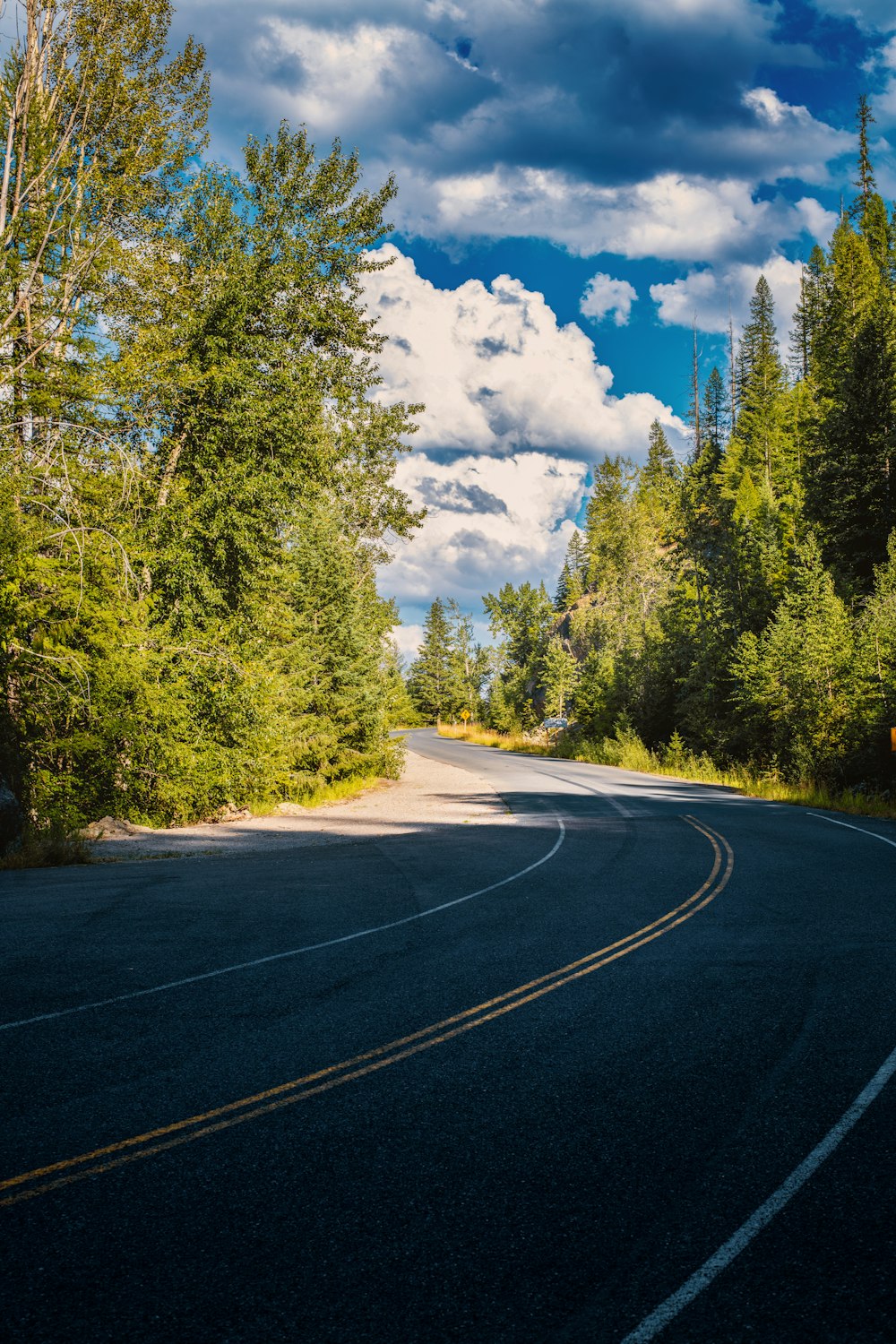 a curved road surrounded by trees under a cloudy sky