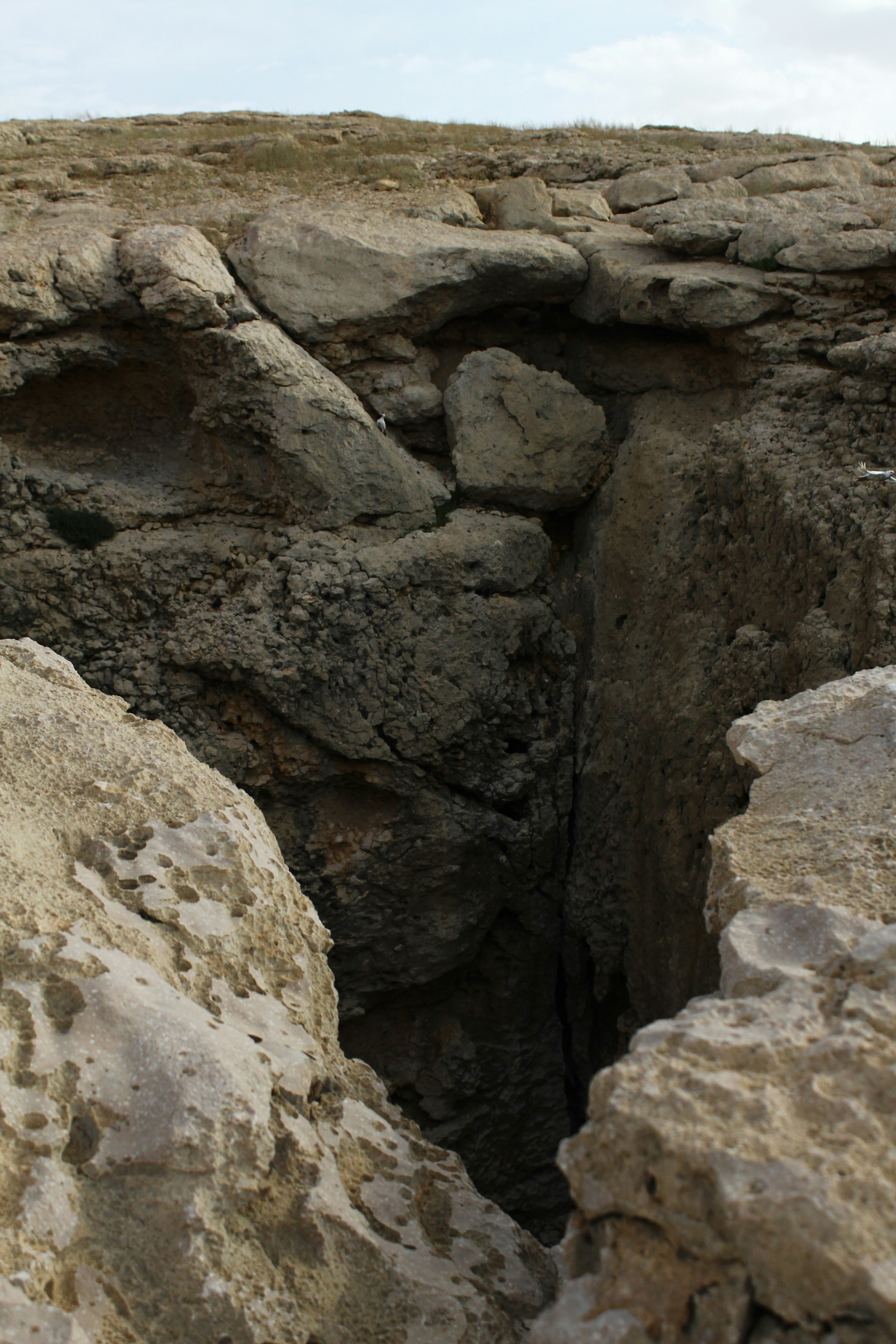 Photo by jules_unsplash