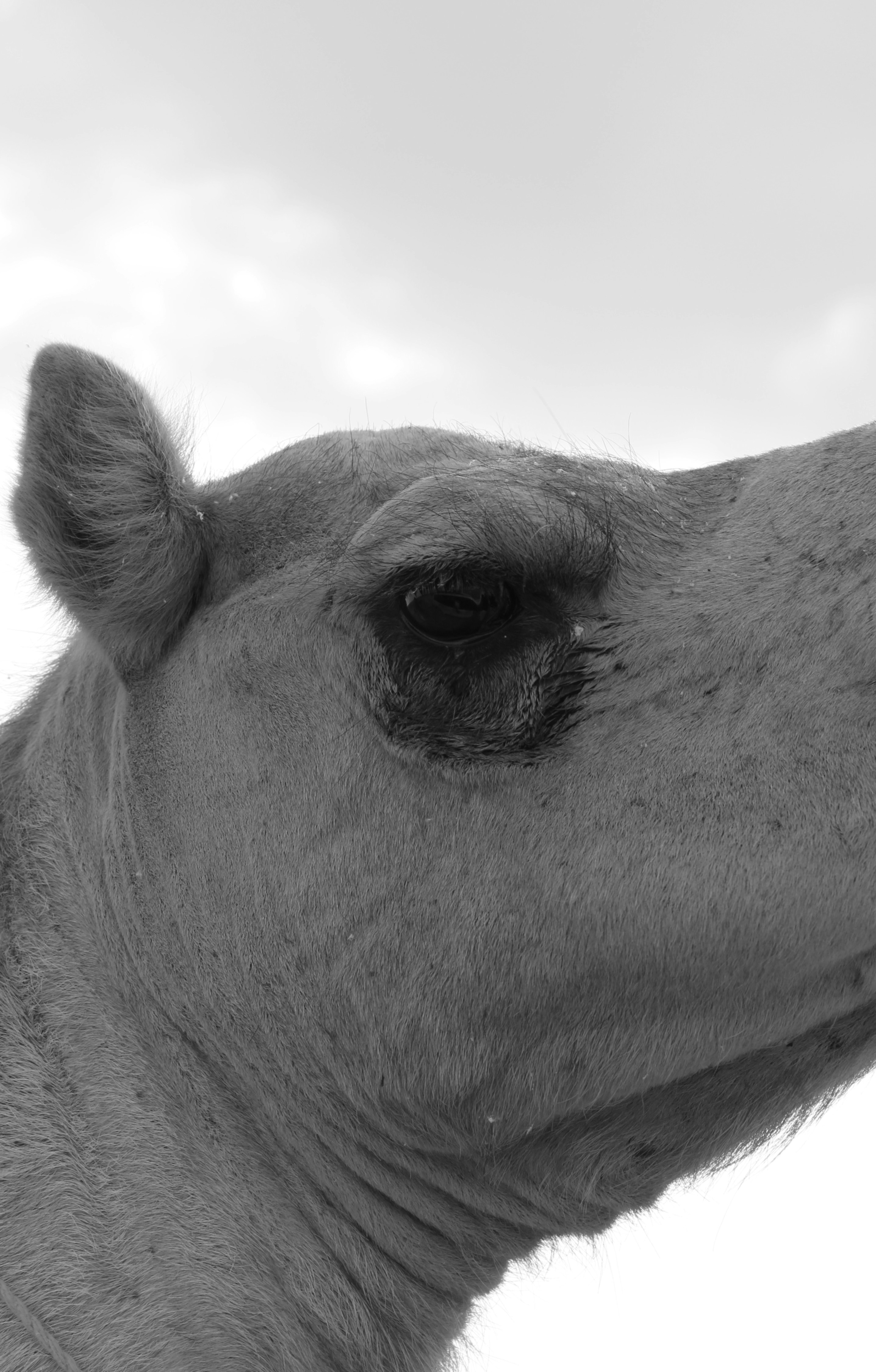 Photo by jules_unsplash