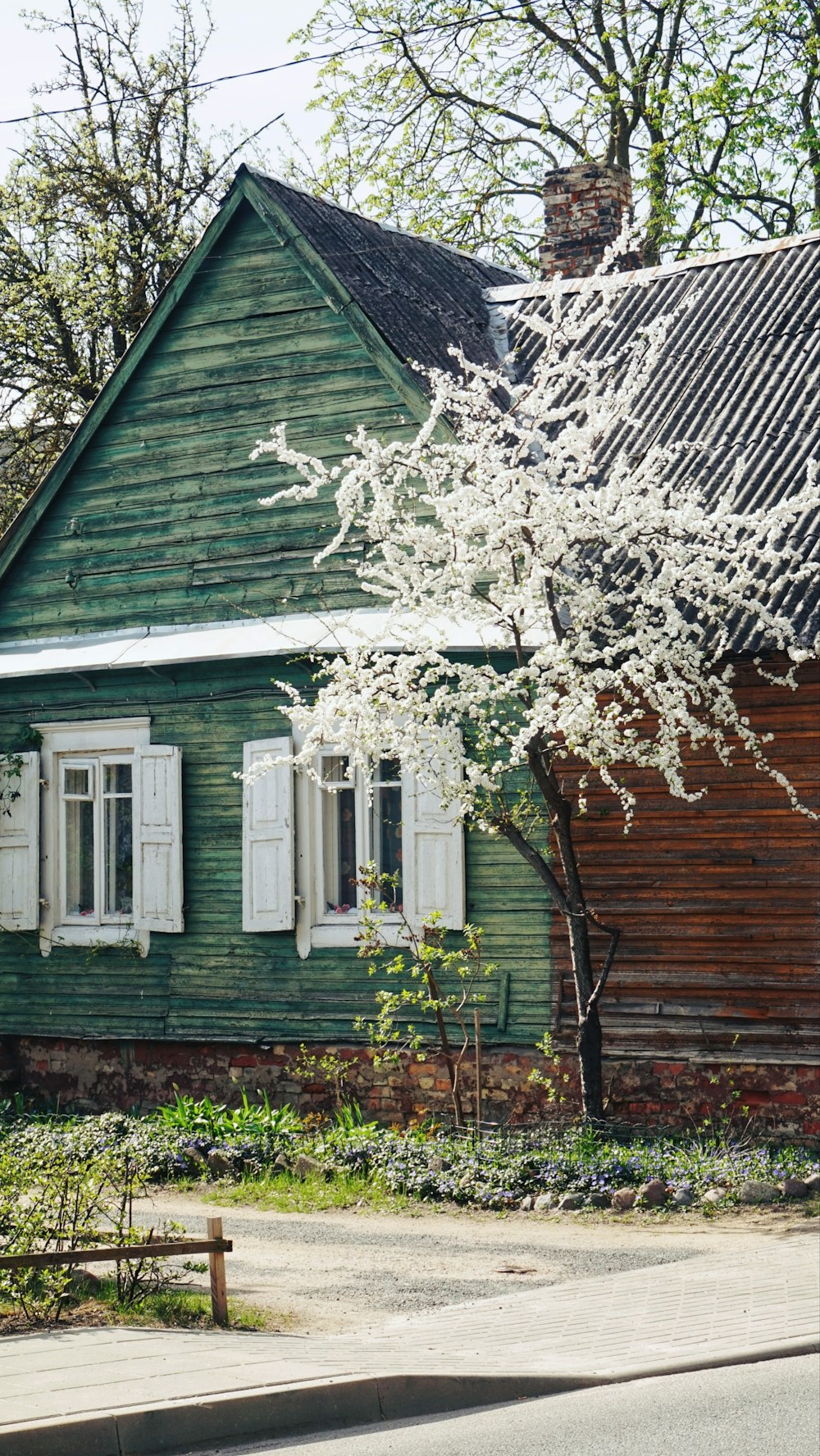 a green house with white shutters and a tree in front of it