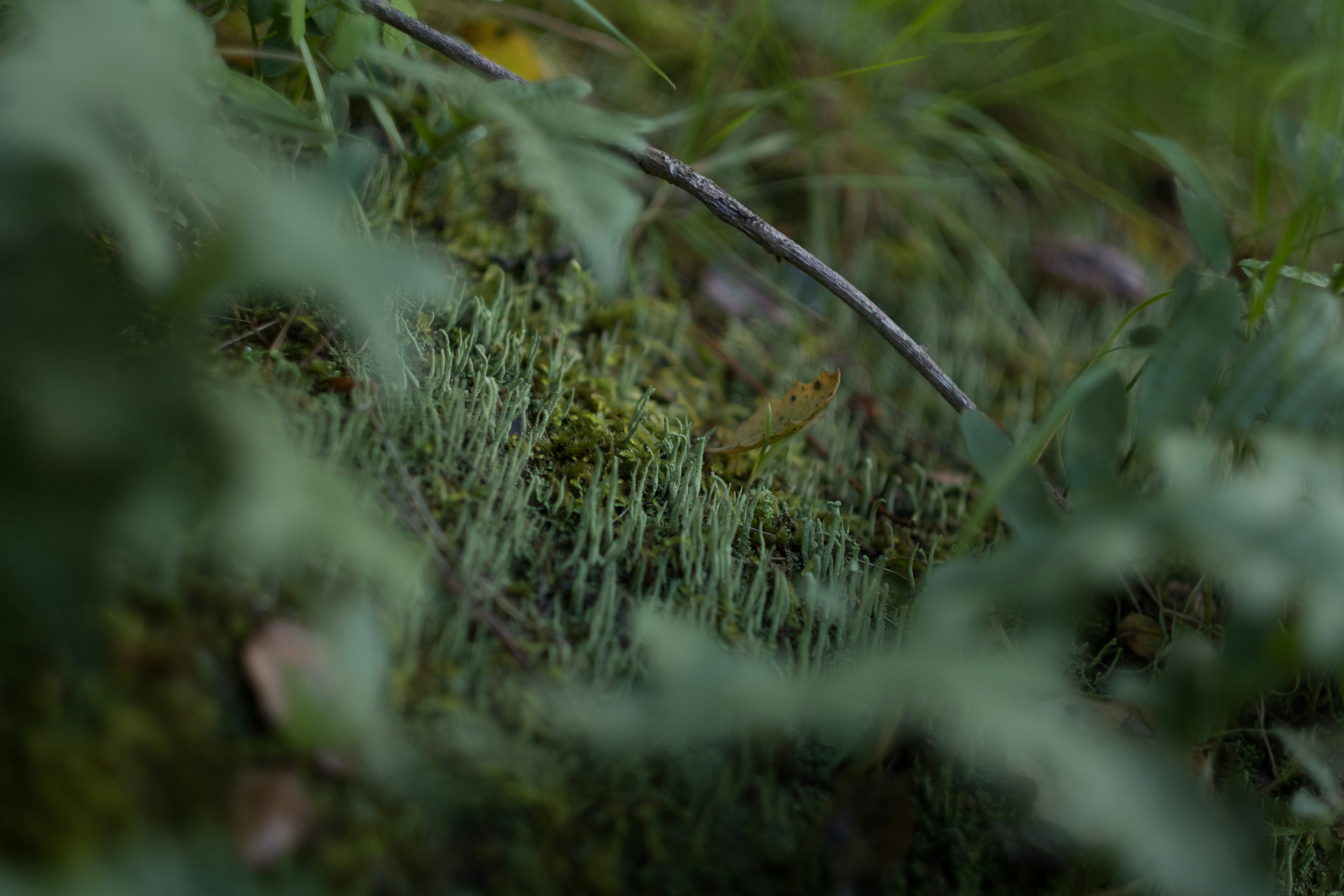 Photo by levimeirclancy