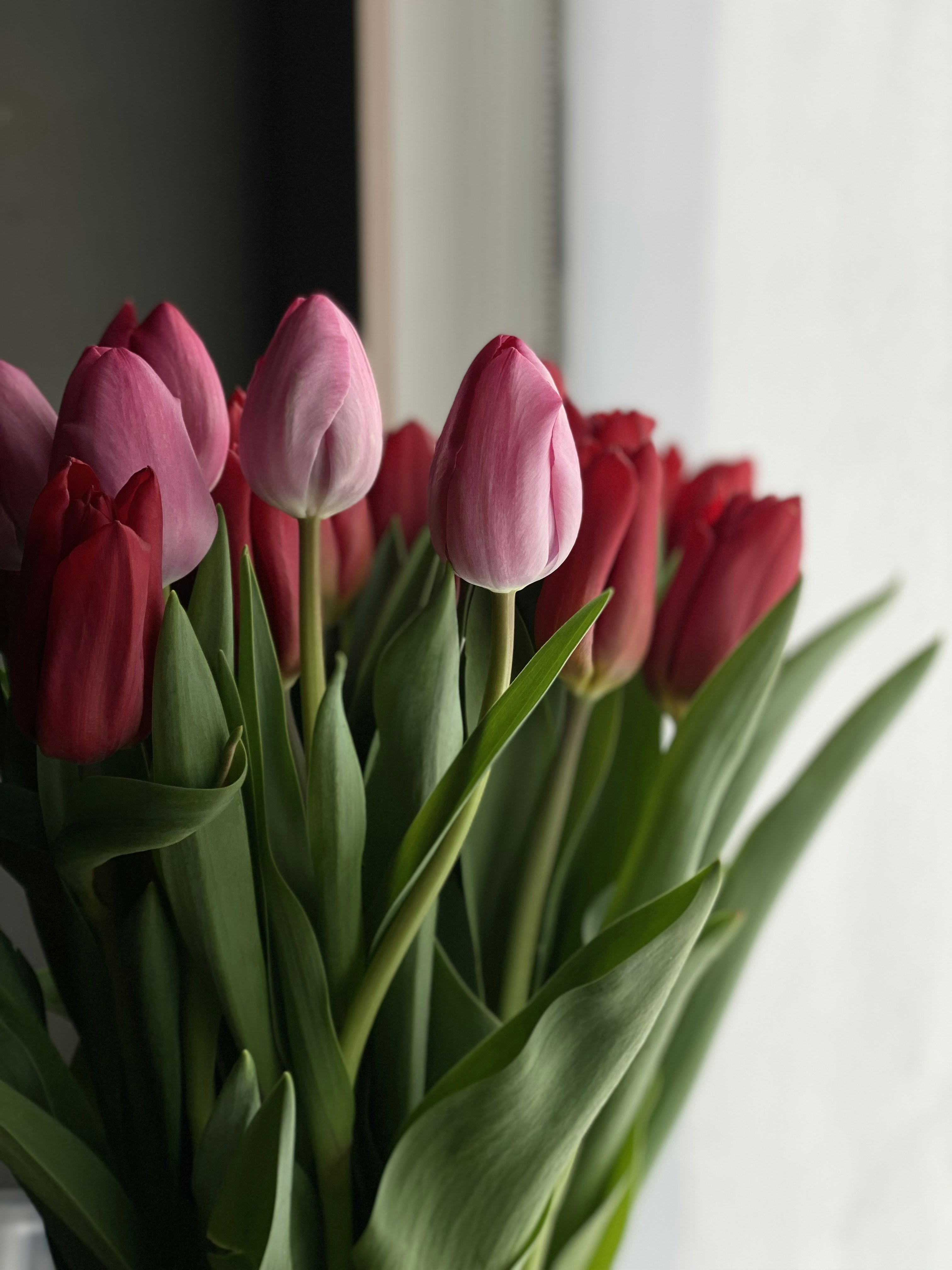 a bunch of pink and red tulips in a vase