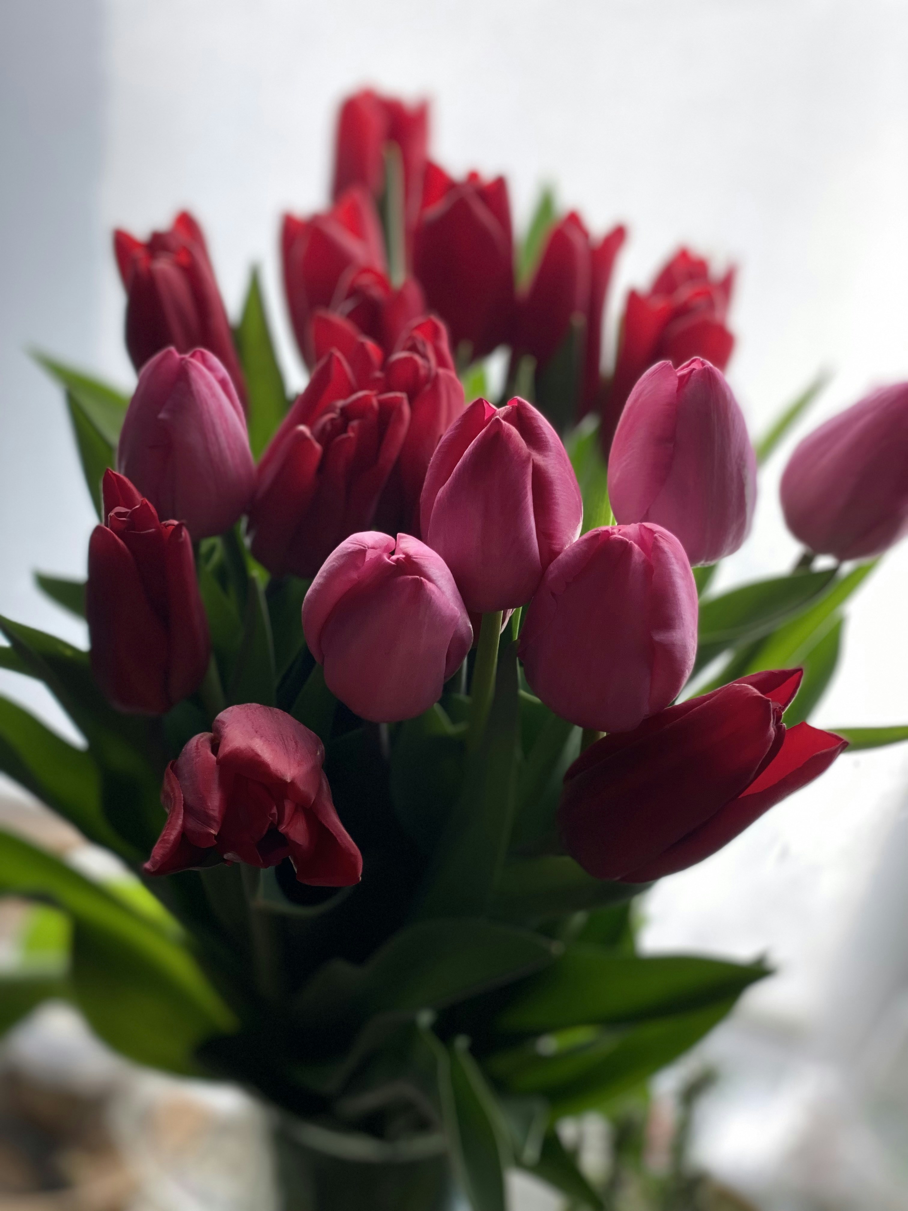 Photo by daniellashum