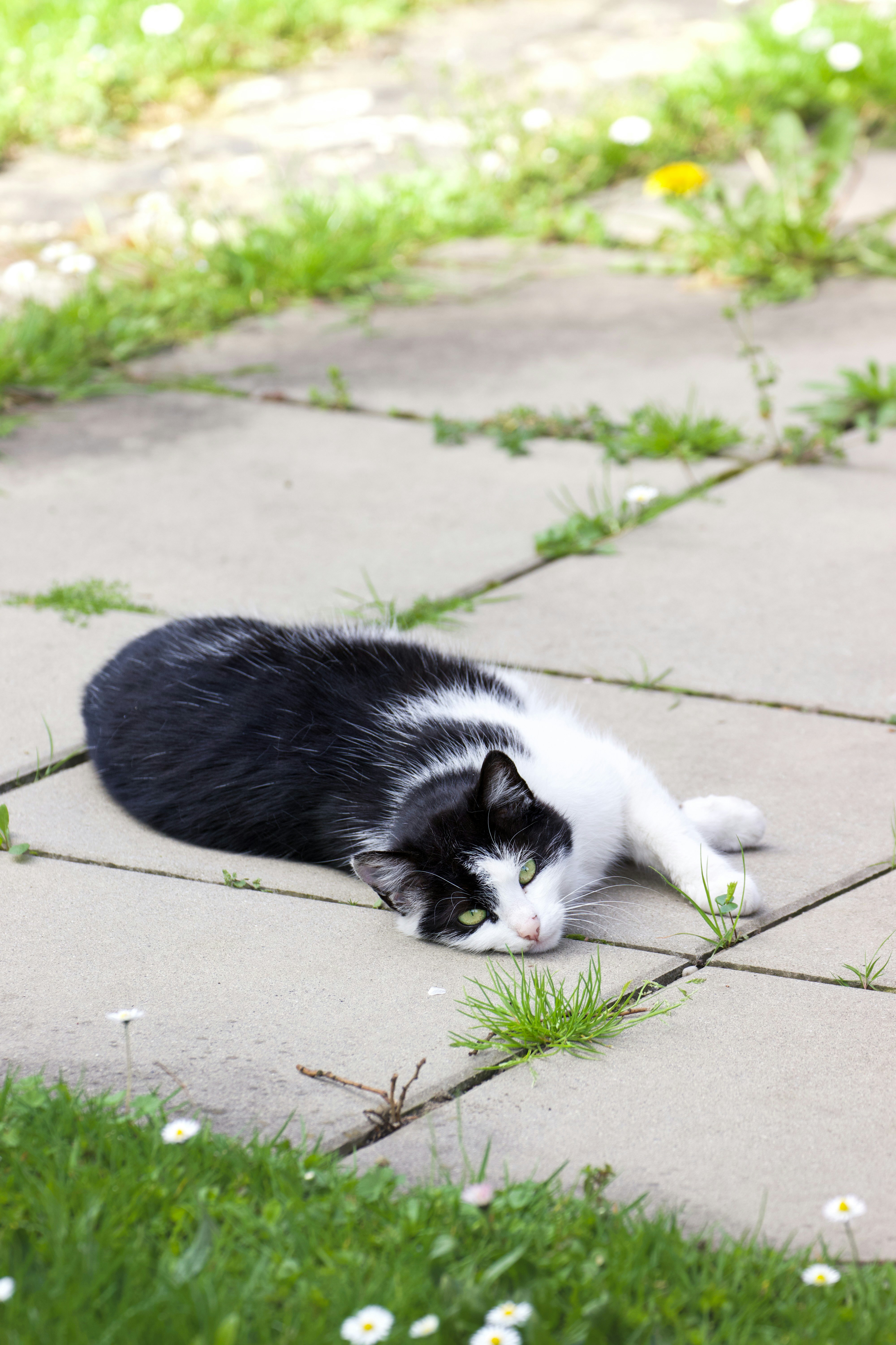 Photo by jakub_neskora