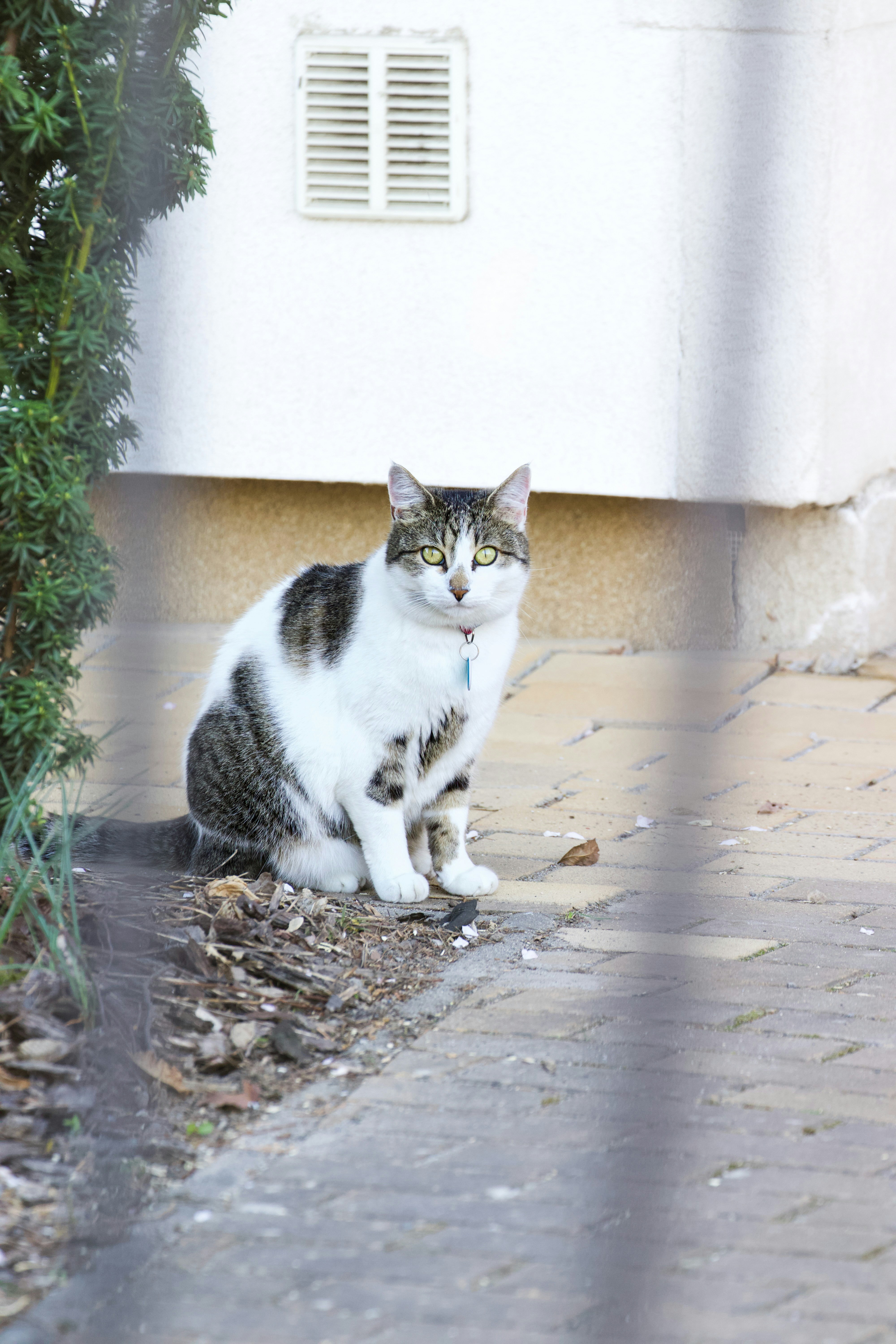 Photo by jakub_neskora