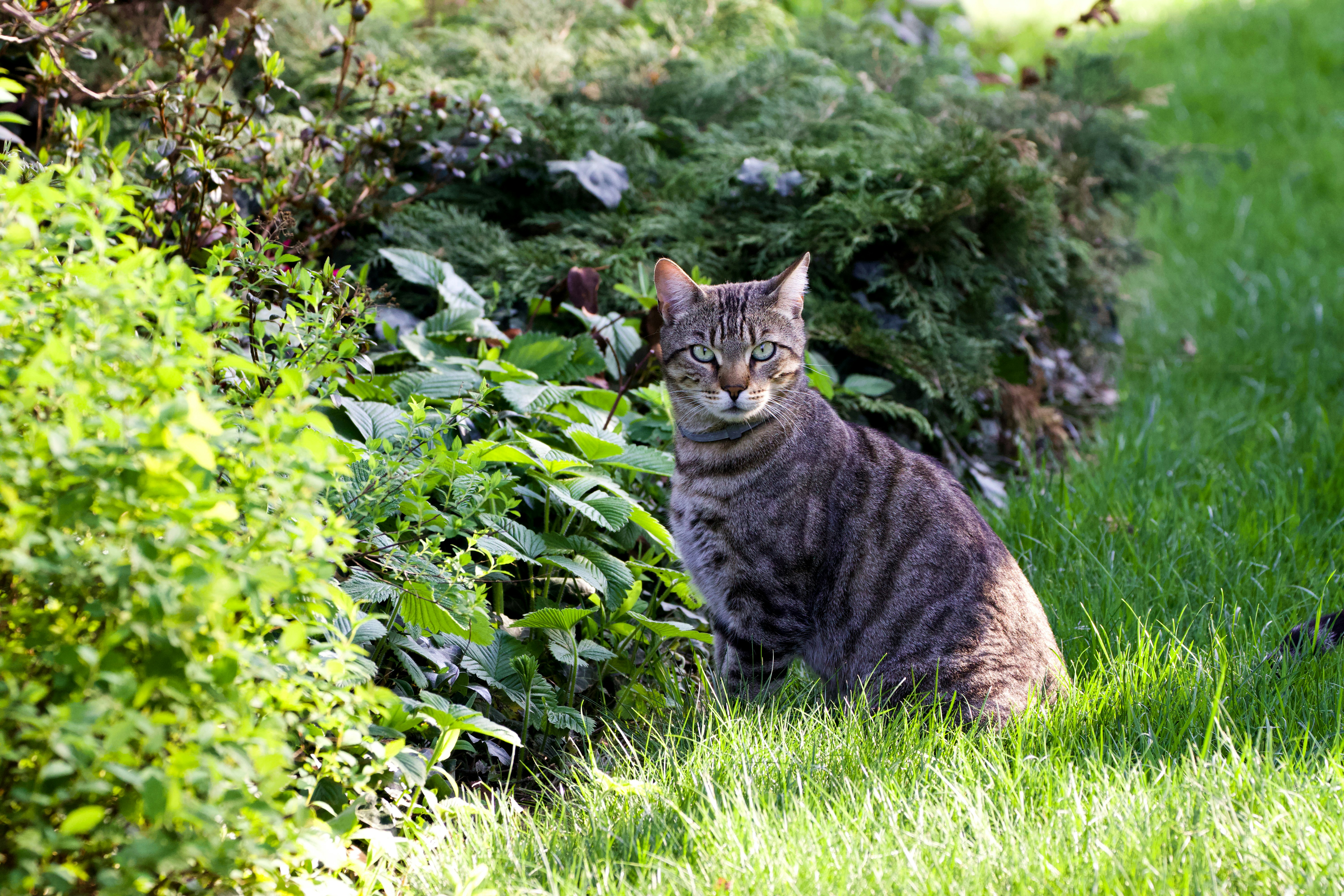 Photo by jakub_neskora