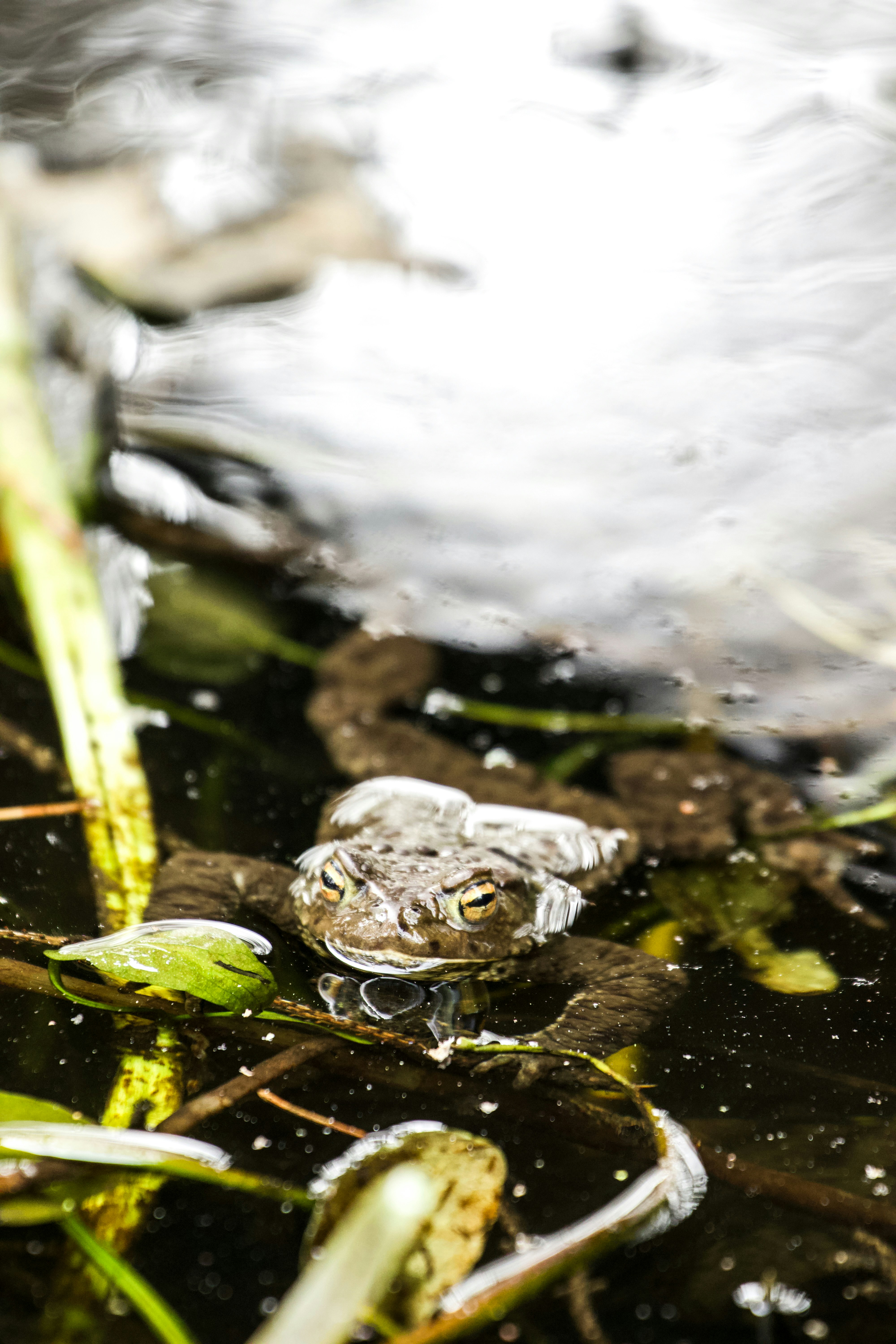 Photo by jakub_neskora