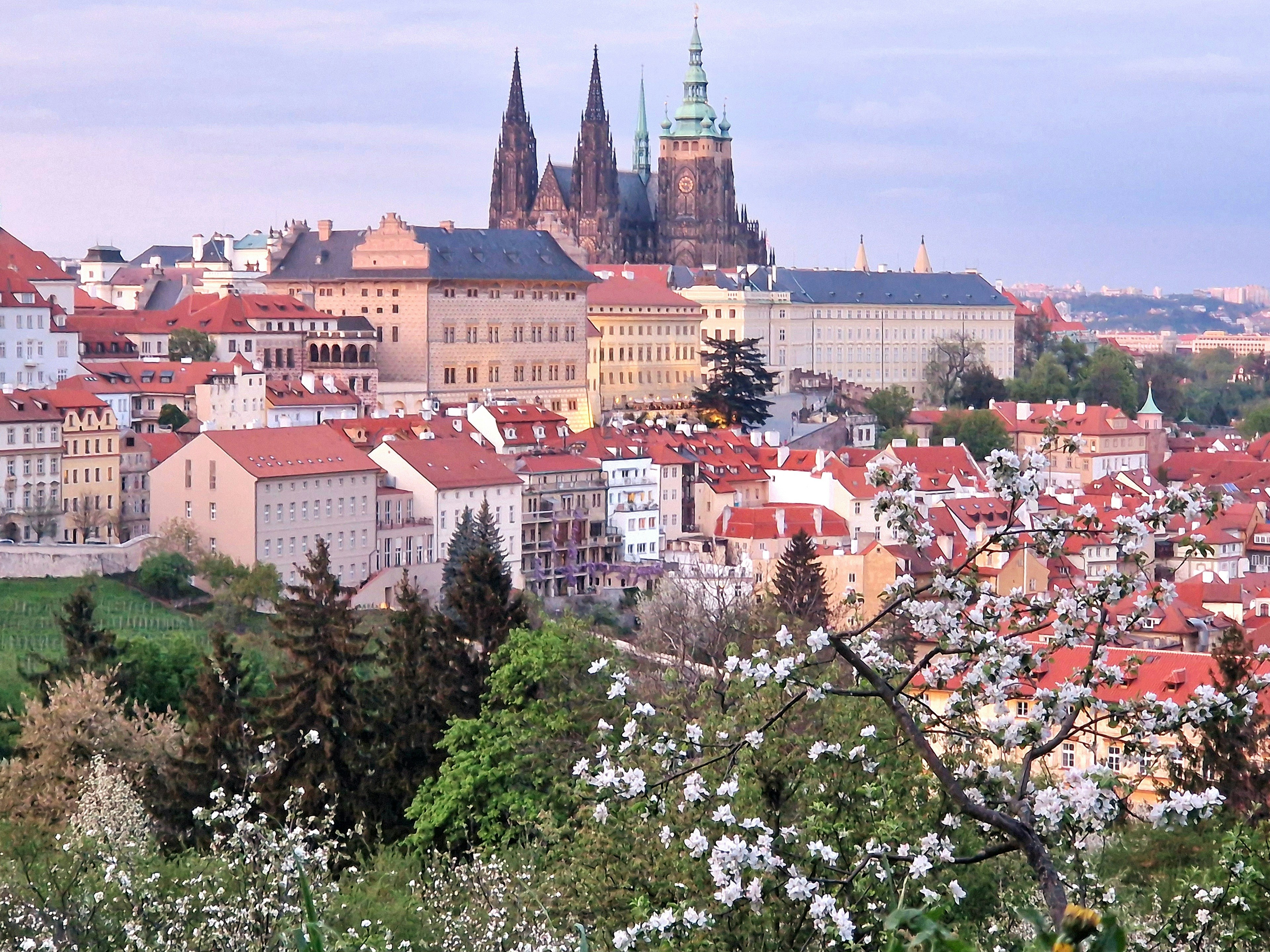 a view of a city from a hill, 