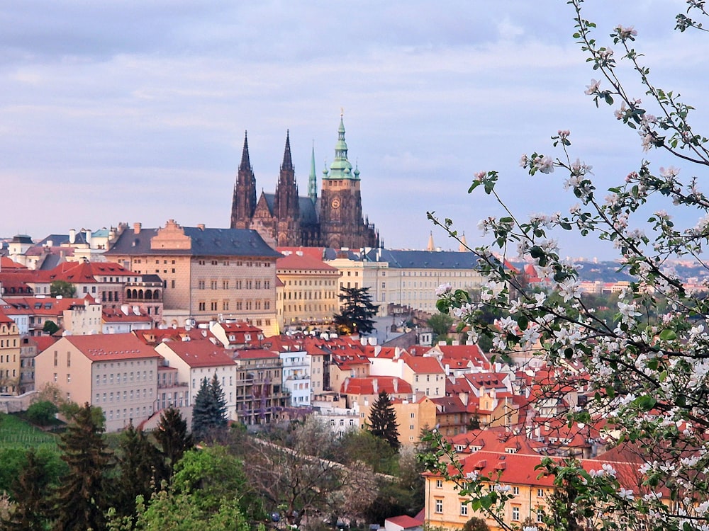 a view of a city from a hill