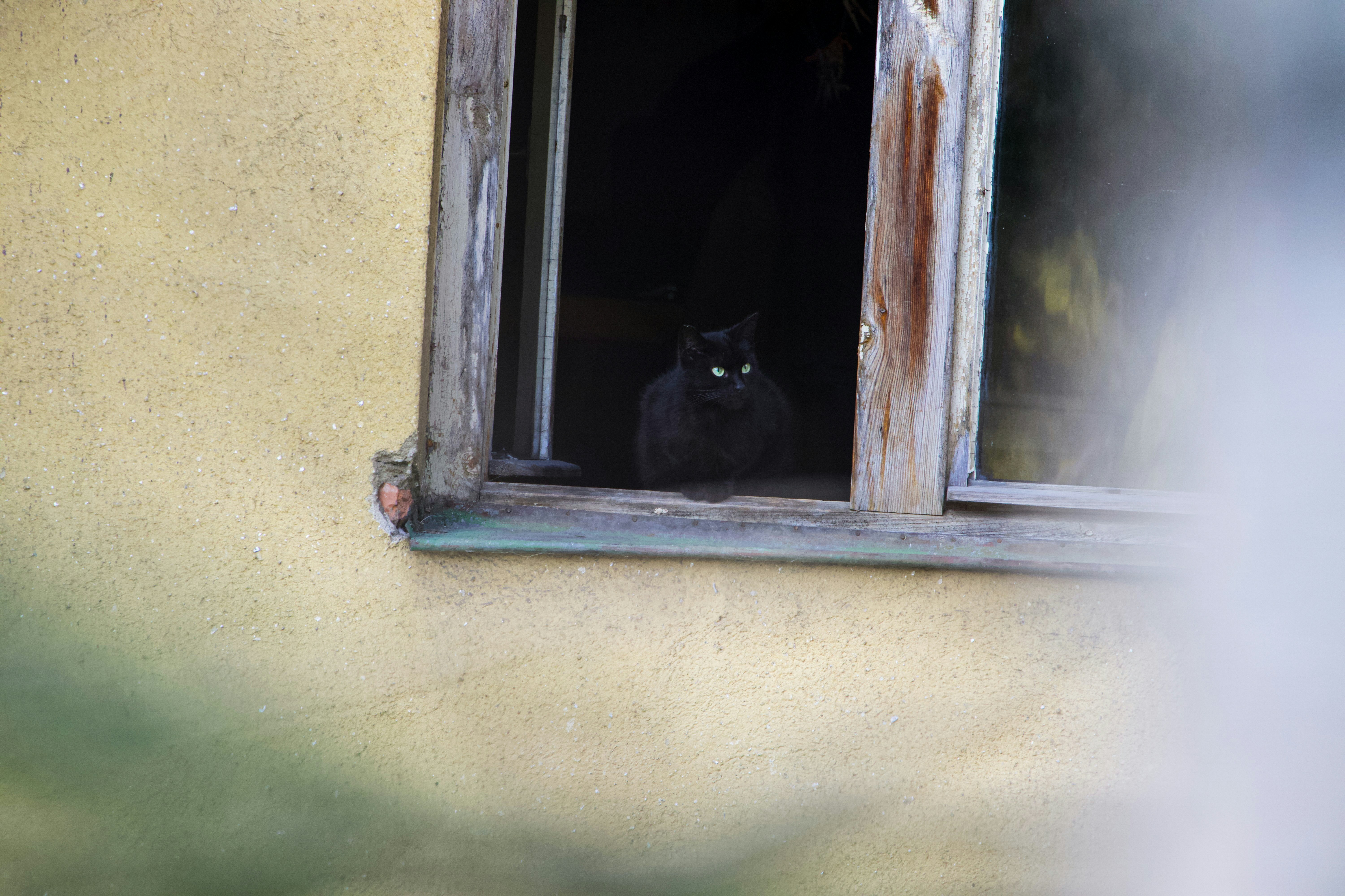 Photo by jakub_neskora