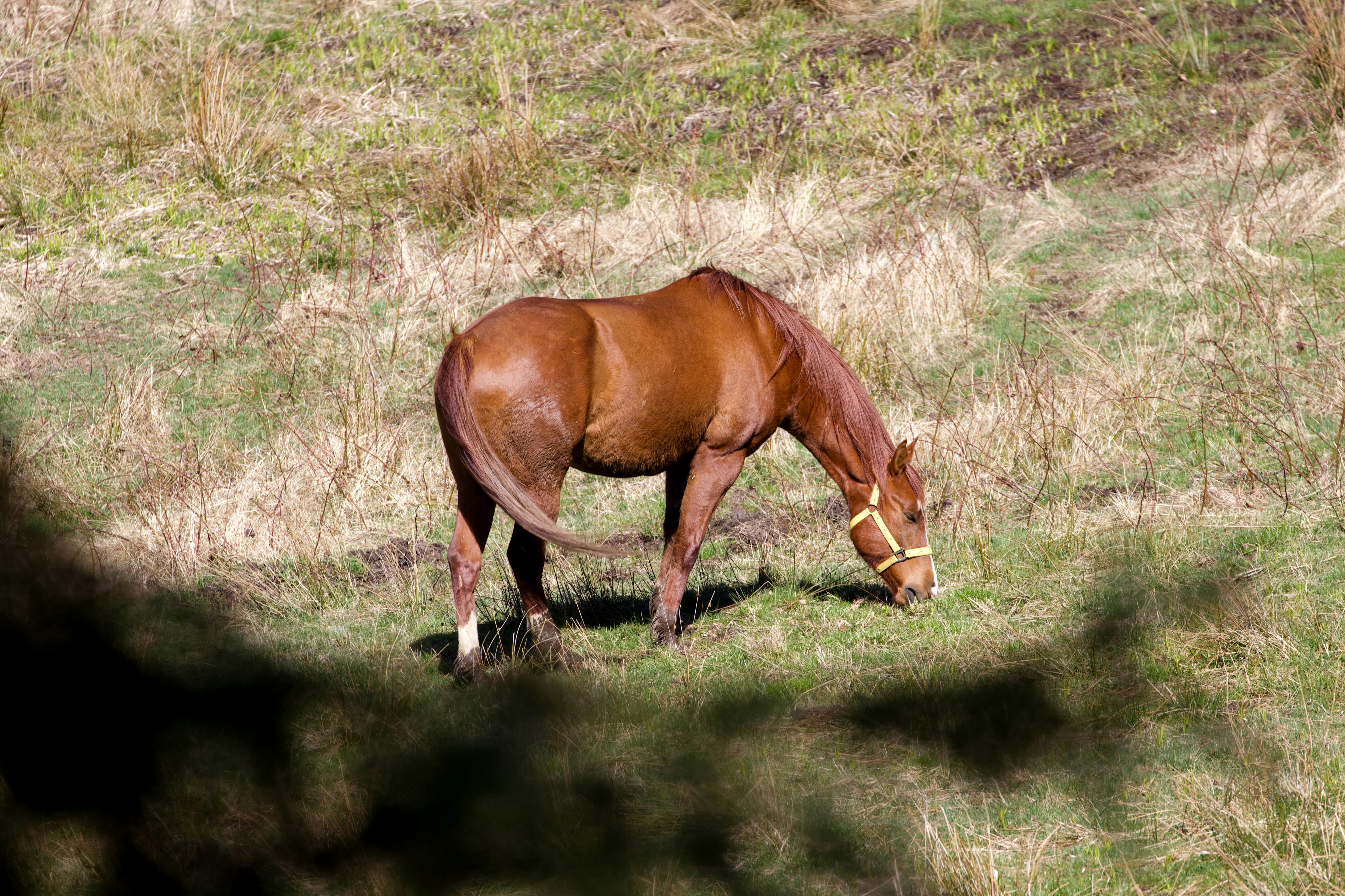 Photo by jakub_neskora