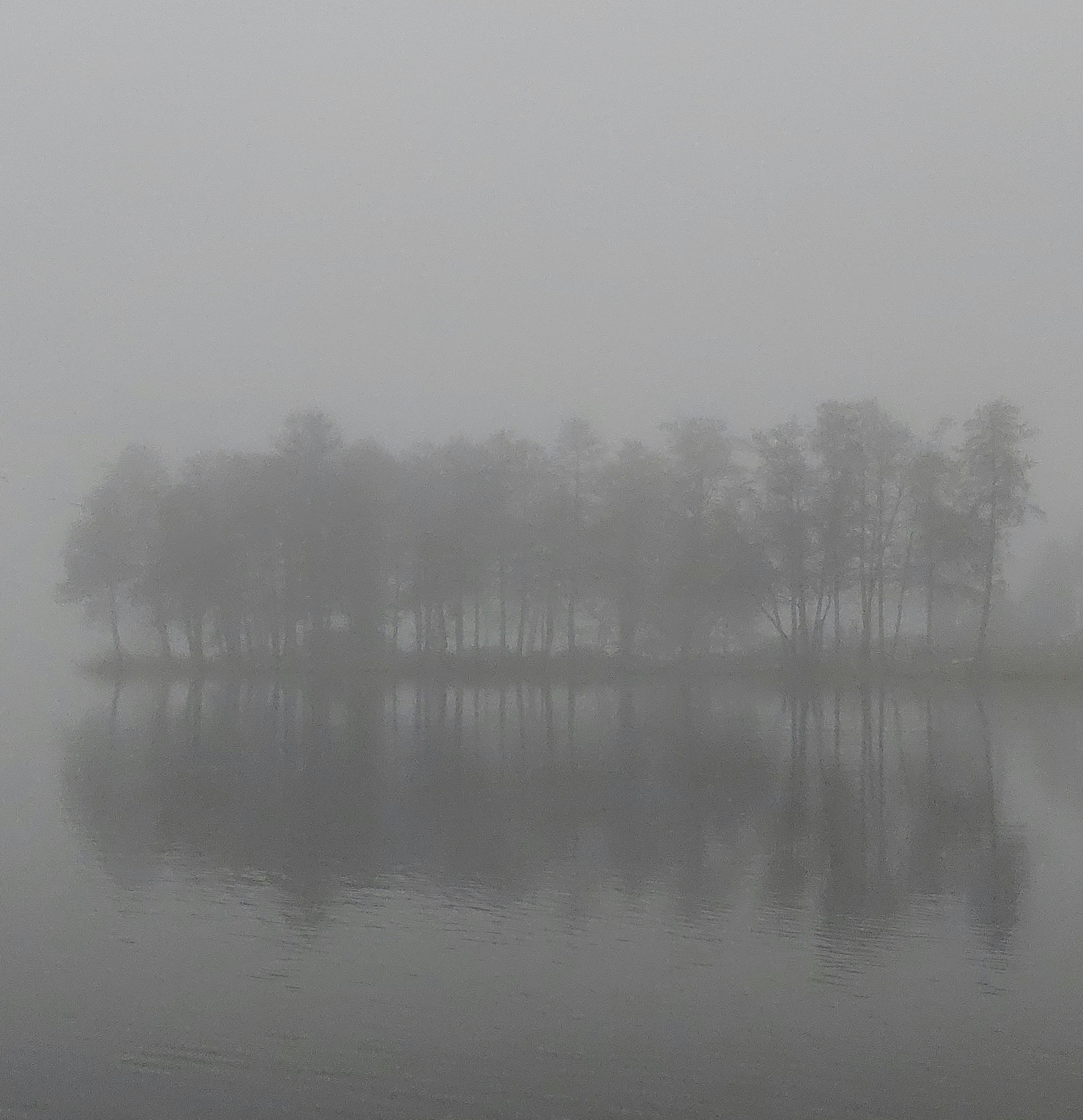 Photo by hugothephotographer